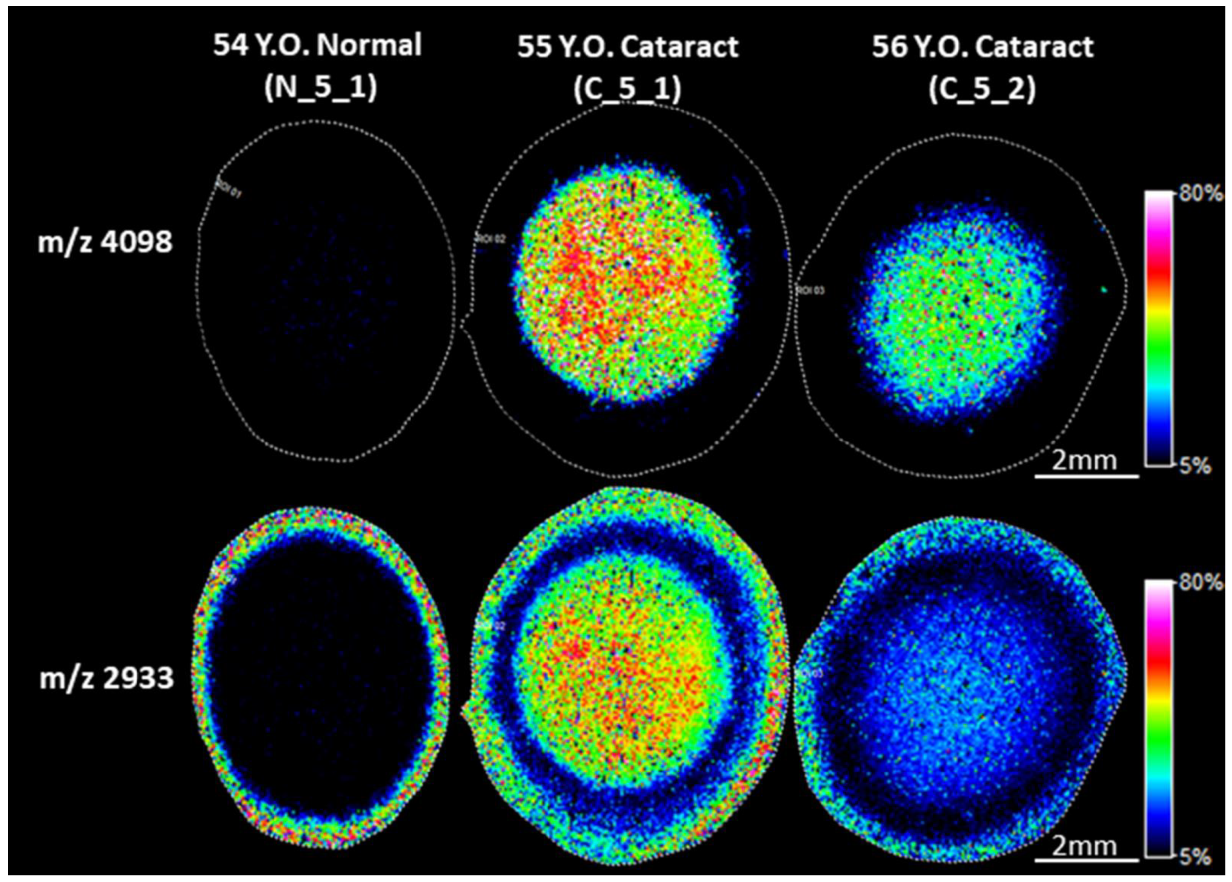 Cells 11 04042 g001 Cells 11 04042 g001