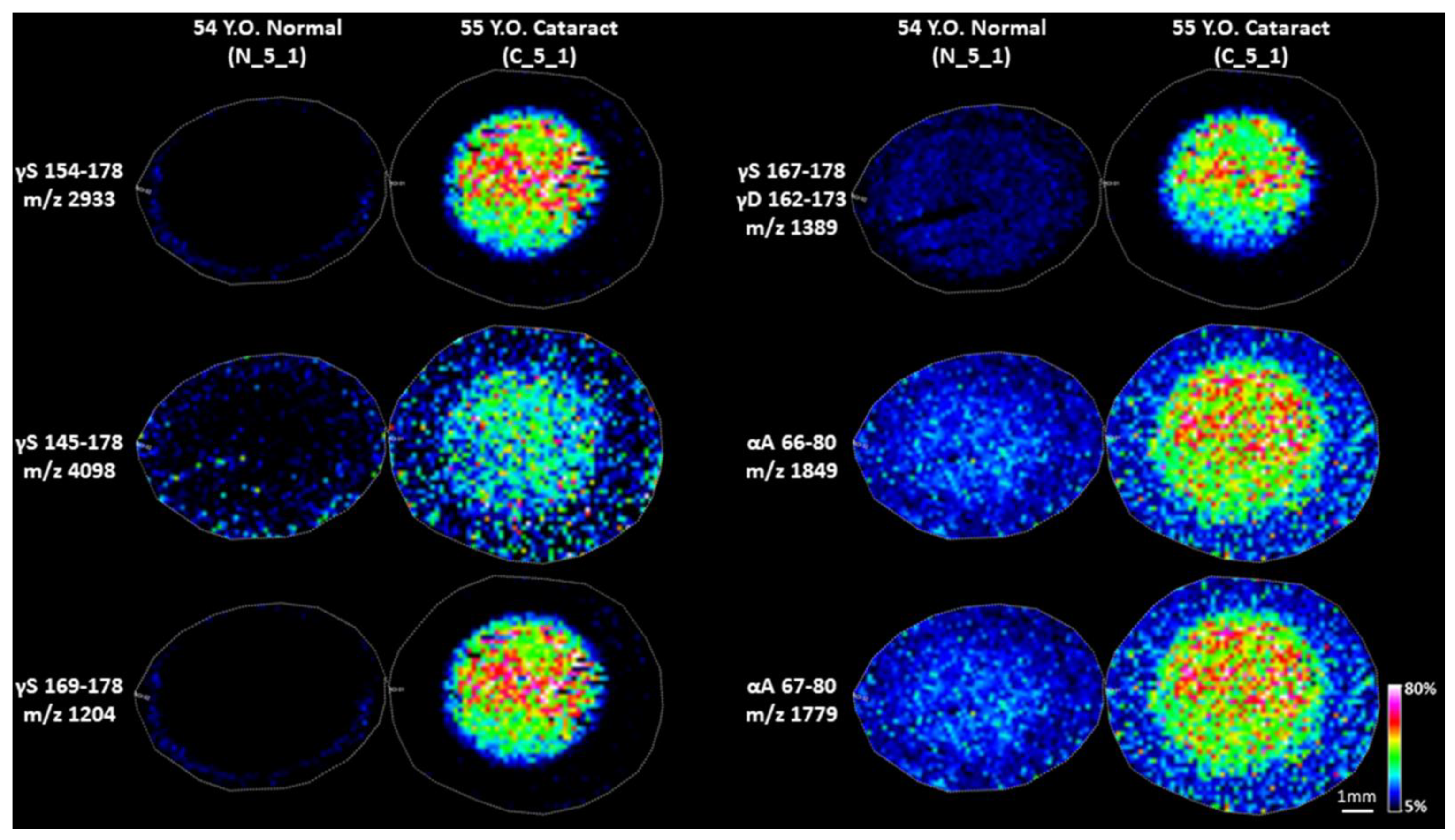 Cells 11 04042 g005 Cells 11 04042 g005