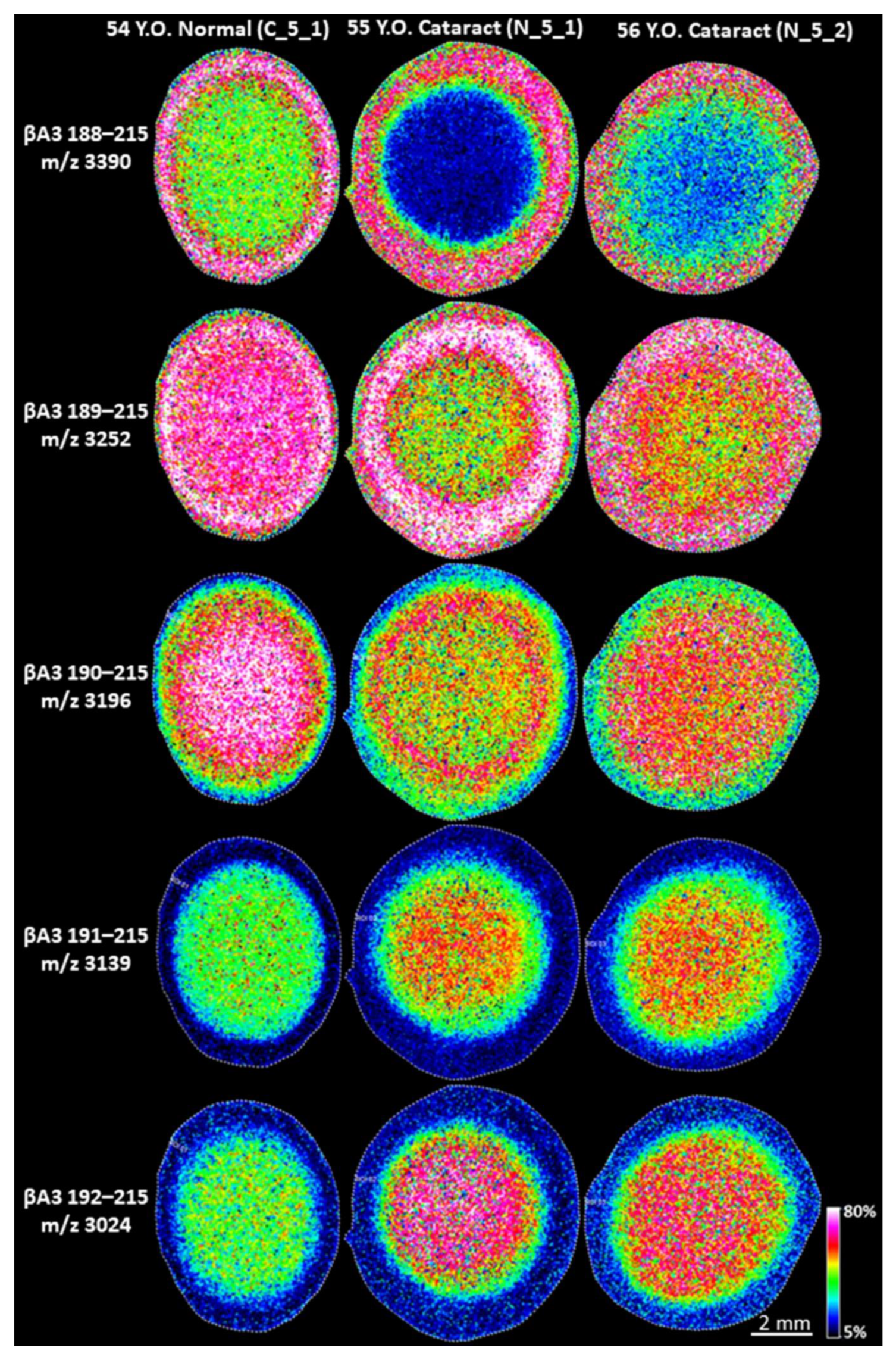 Cells 11 04042 g006 Cells 11 04042 g006