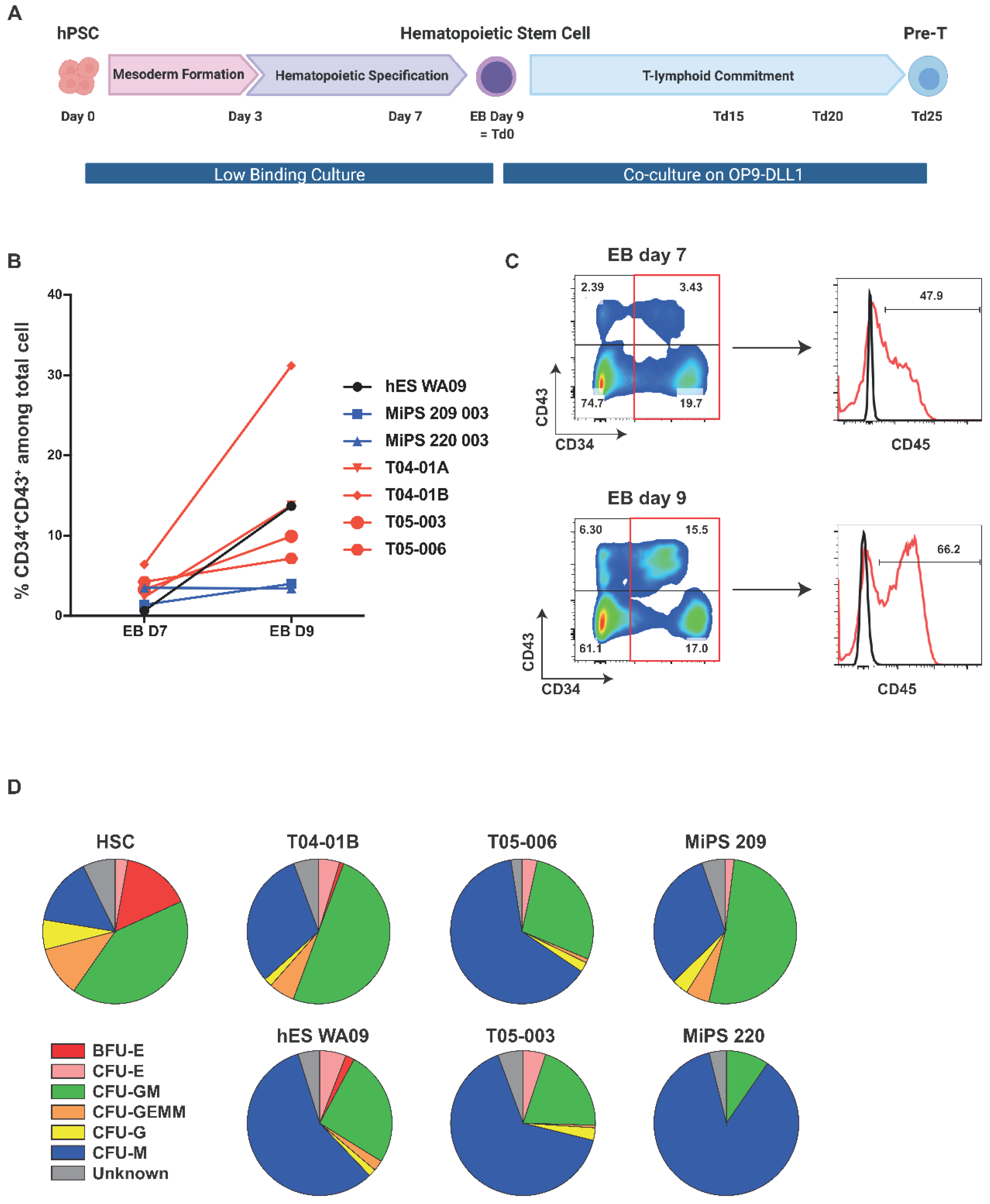Cells 11 04046 g002 Cells 11 04046 g002