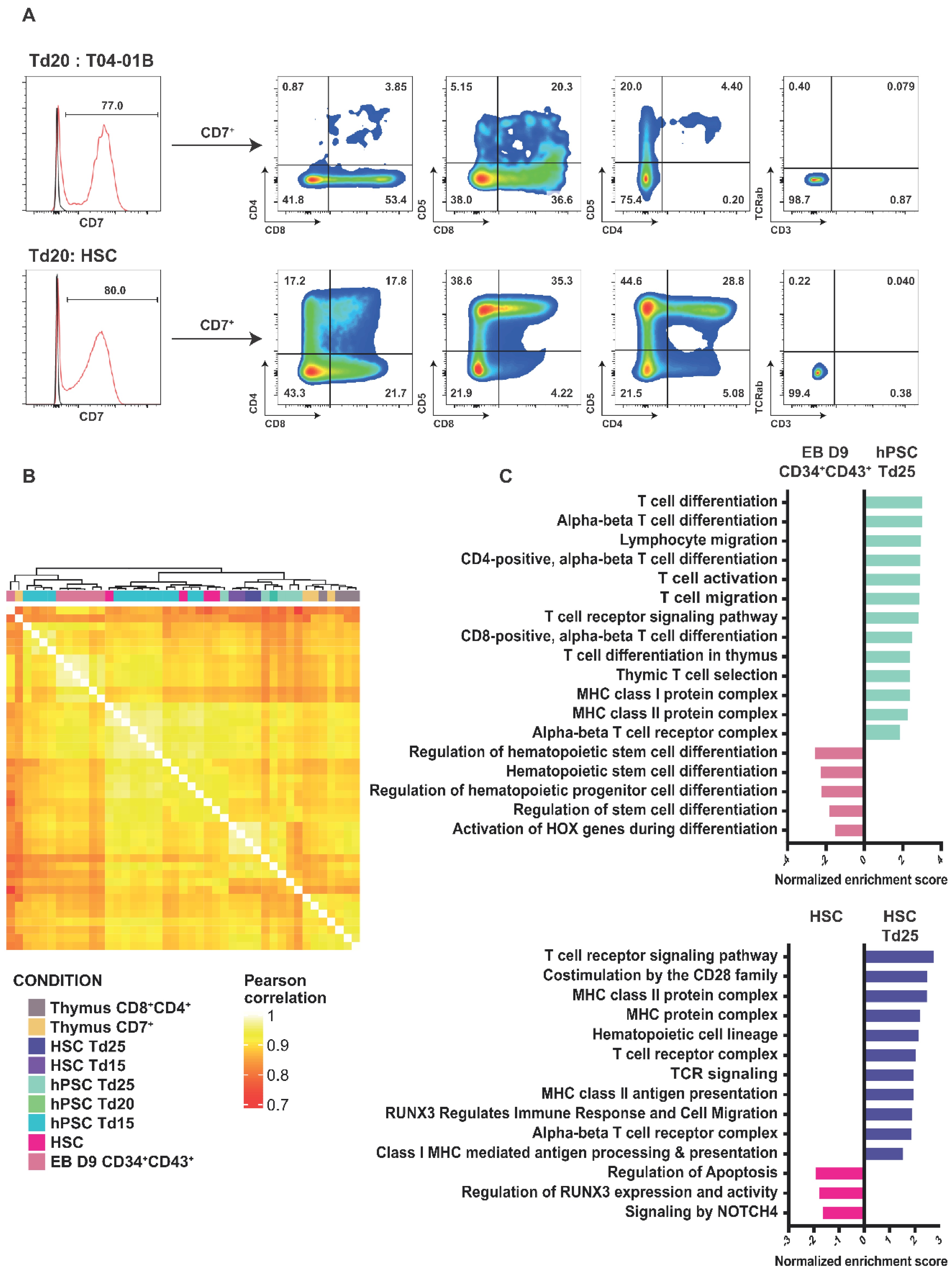 Cells 11 04046 g004 Cells 11 04046 g004