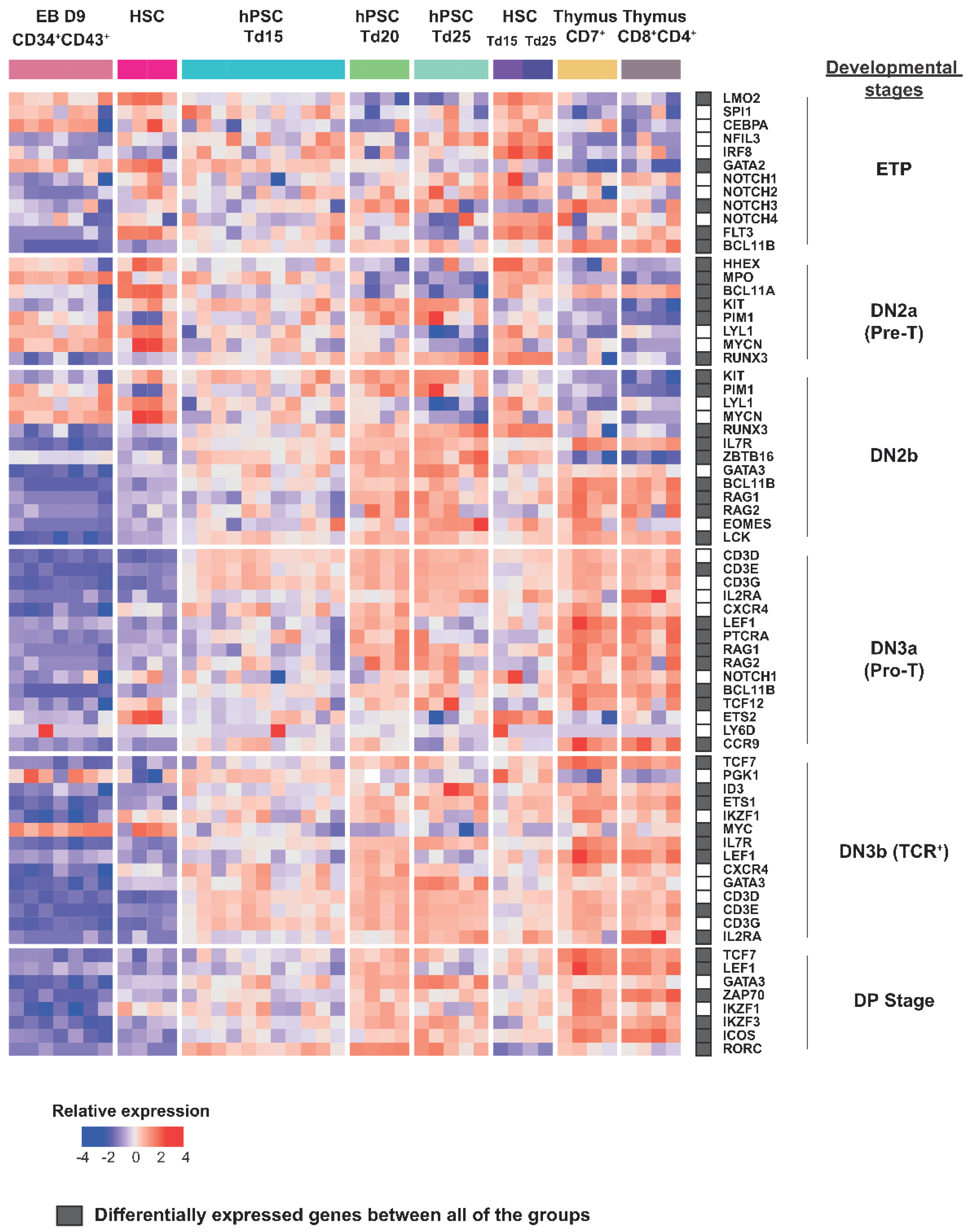 Cells 11 04046 g005 Cells 11 04046 g005