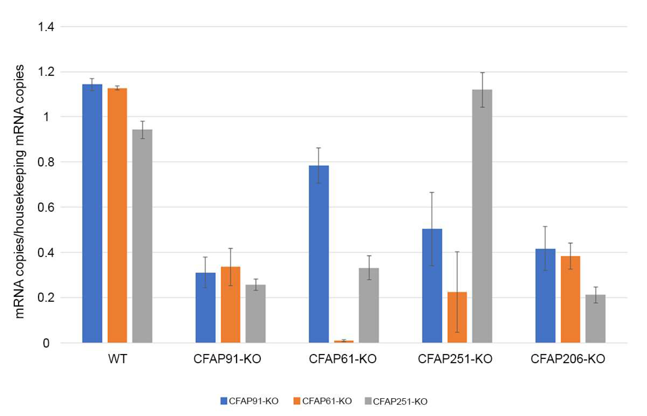 Cells 11 04048 g007 Cells 11 04048 g007