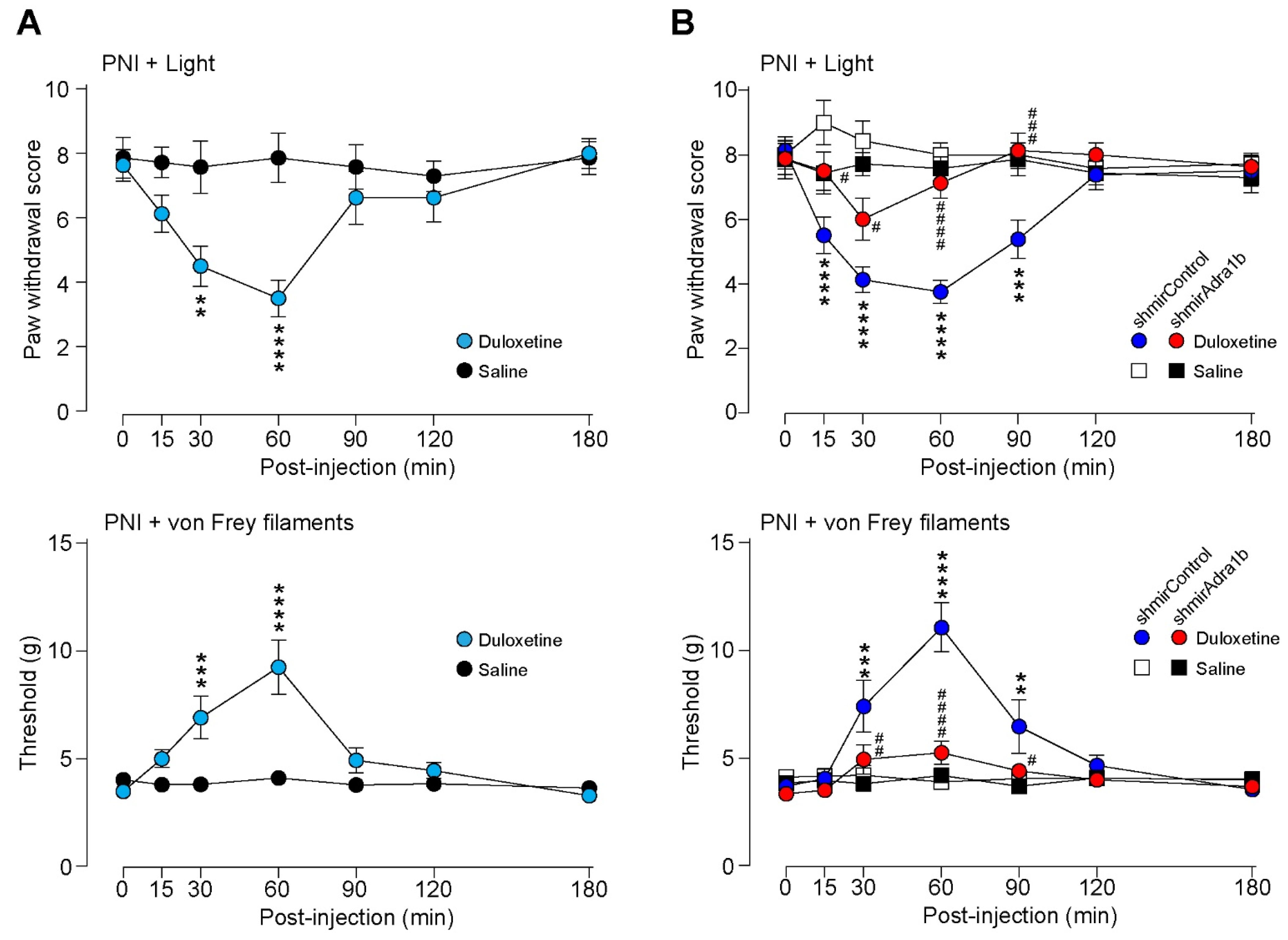 Cells 11 04051 g003 Cells 11 04051 g003