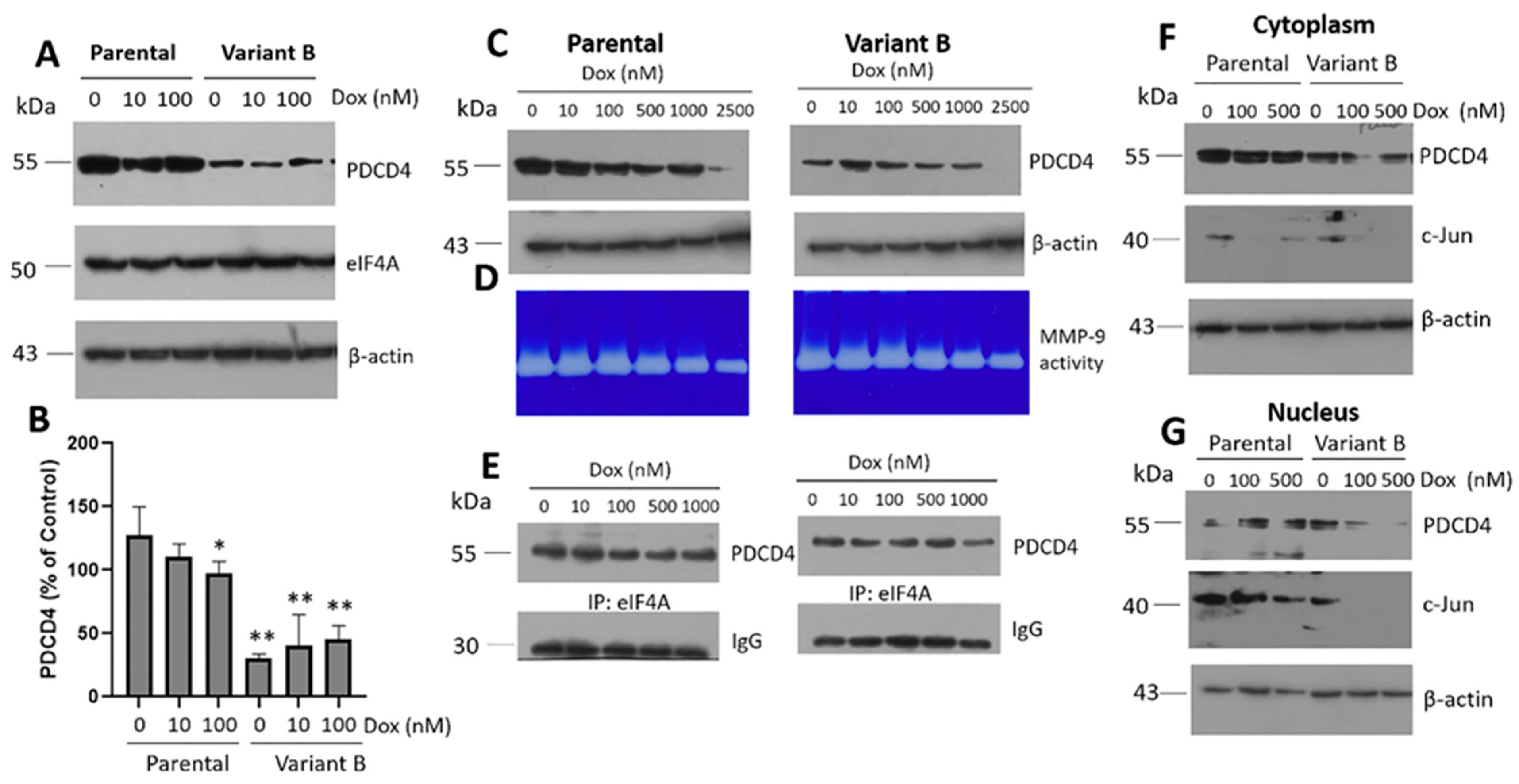Cells 11 04069 g003 Cells 11 04069 g003