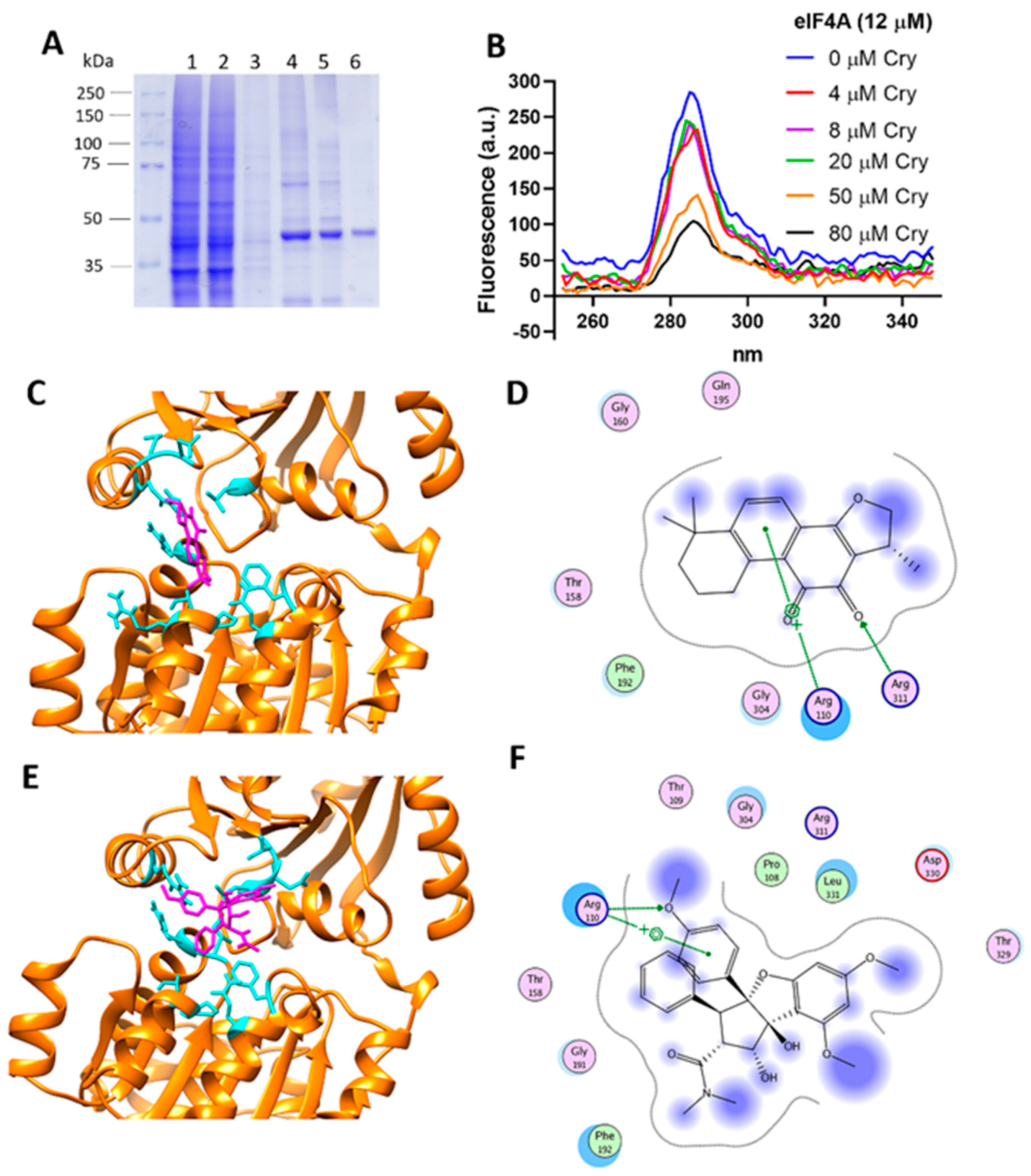 Cells 11 04069 g008 Cells 11 04069 g008