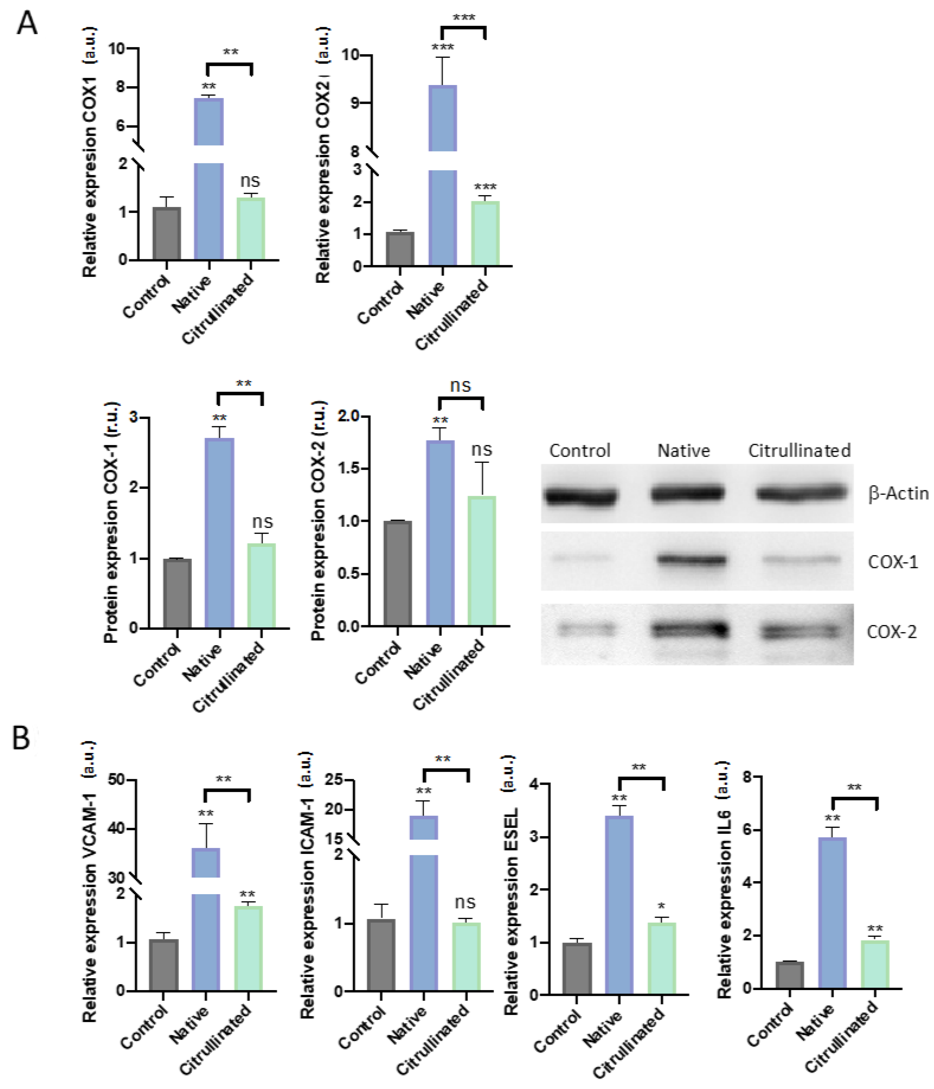 Cells 11 04070 g009 Cells 11 04070 g009