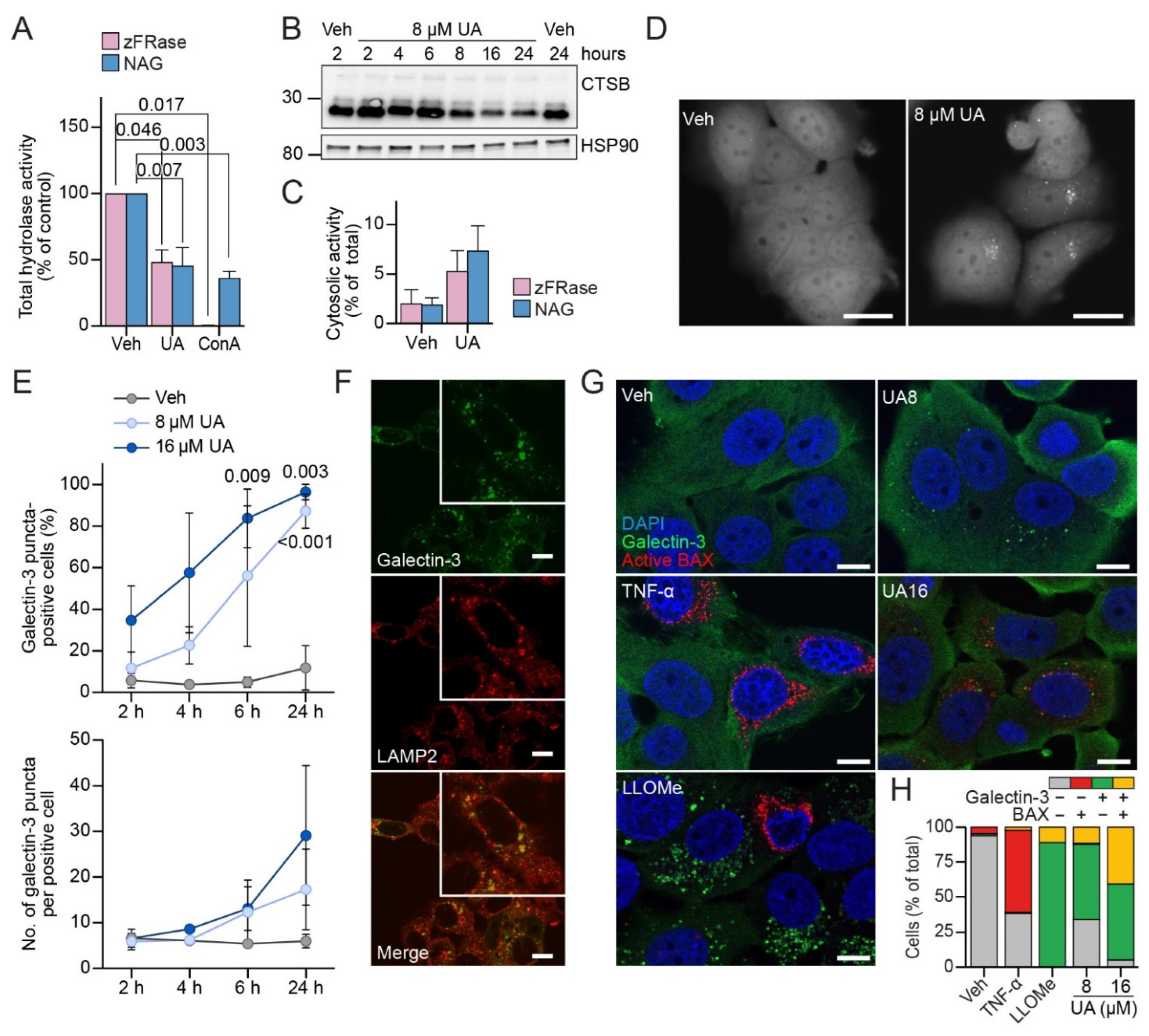 Cells 11 04079 g004 Cells 11 04079 g004