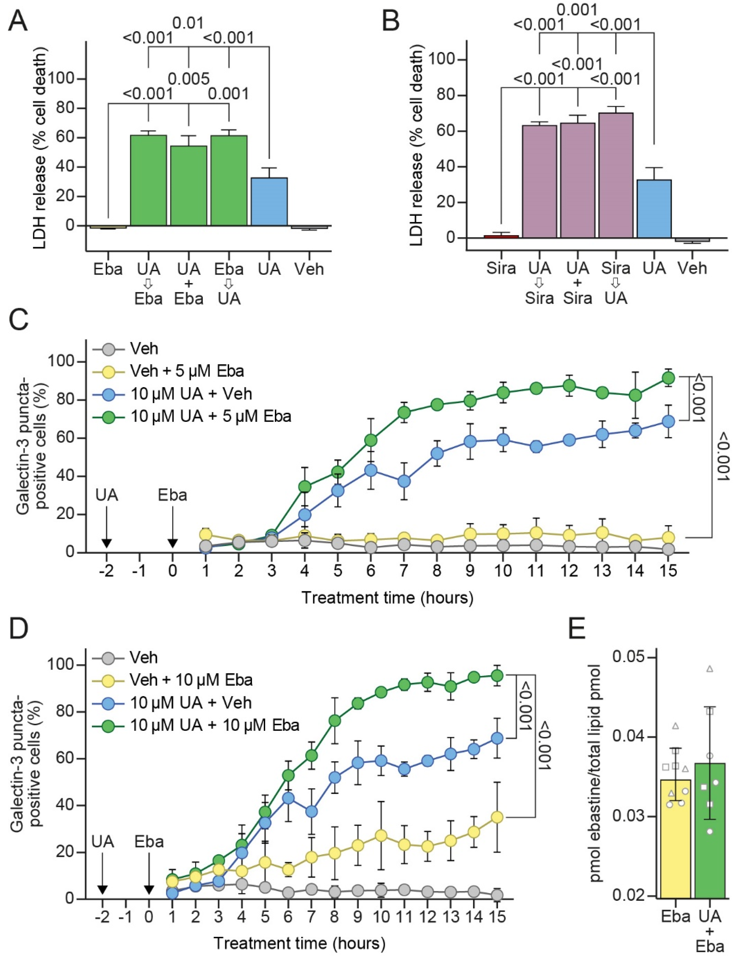 Cells 11 04079 g006 Cells 11 04079 g006