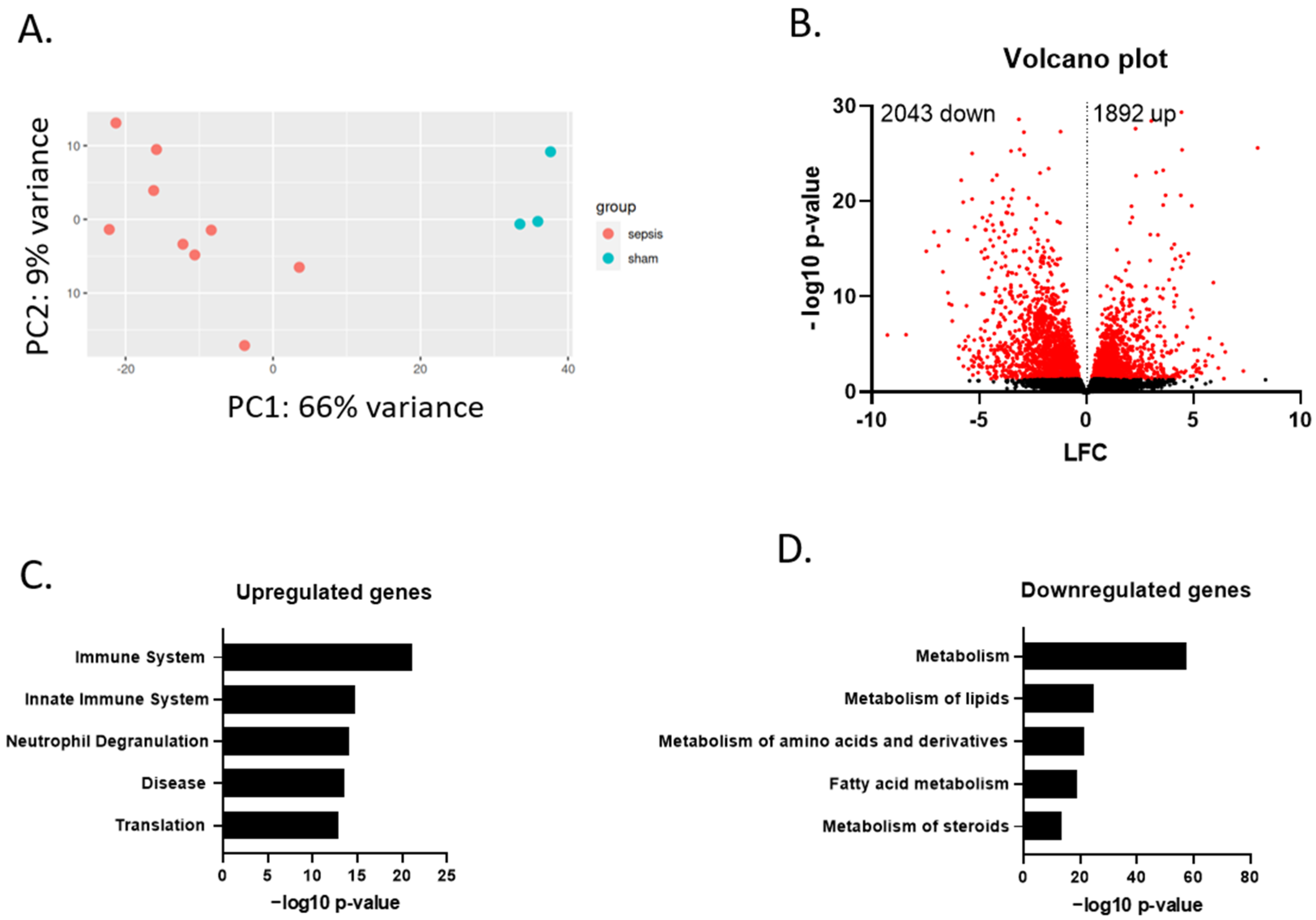 Cells 11 04080 g002 Cells 11 04080 g002