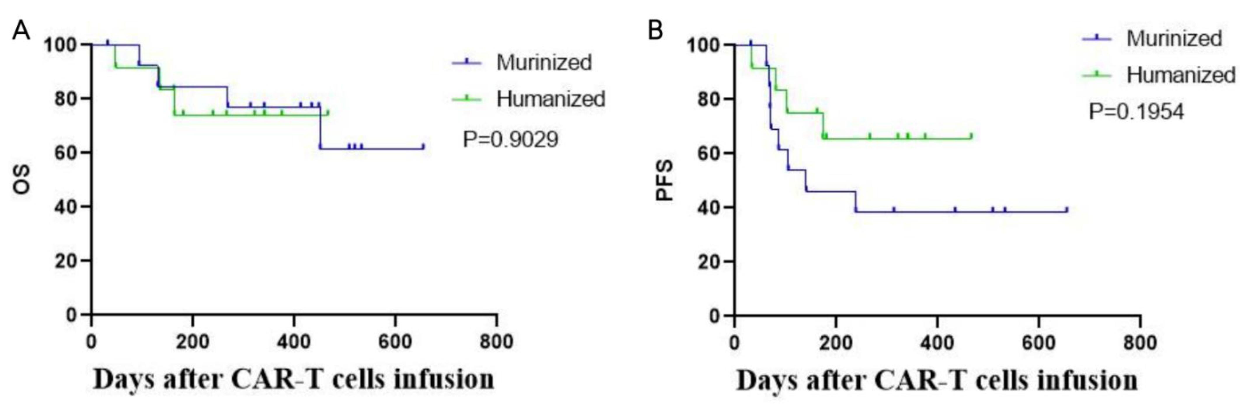 Cells 11 04085 g003 Cells 11 04085 g003
