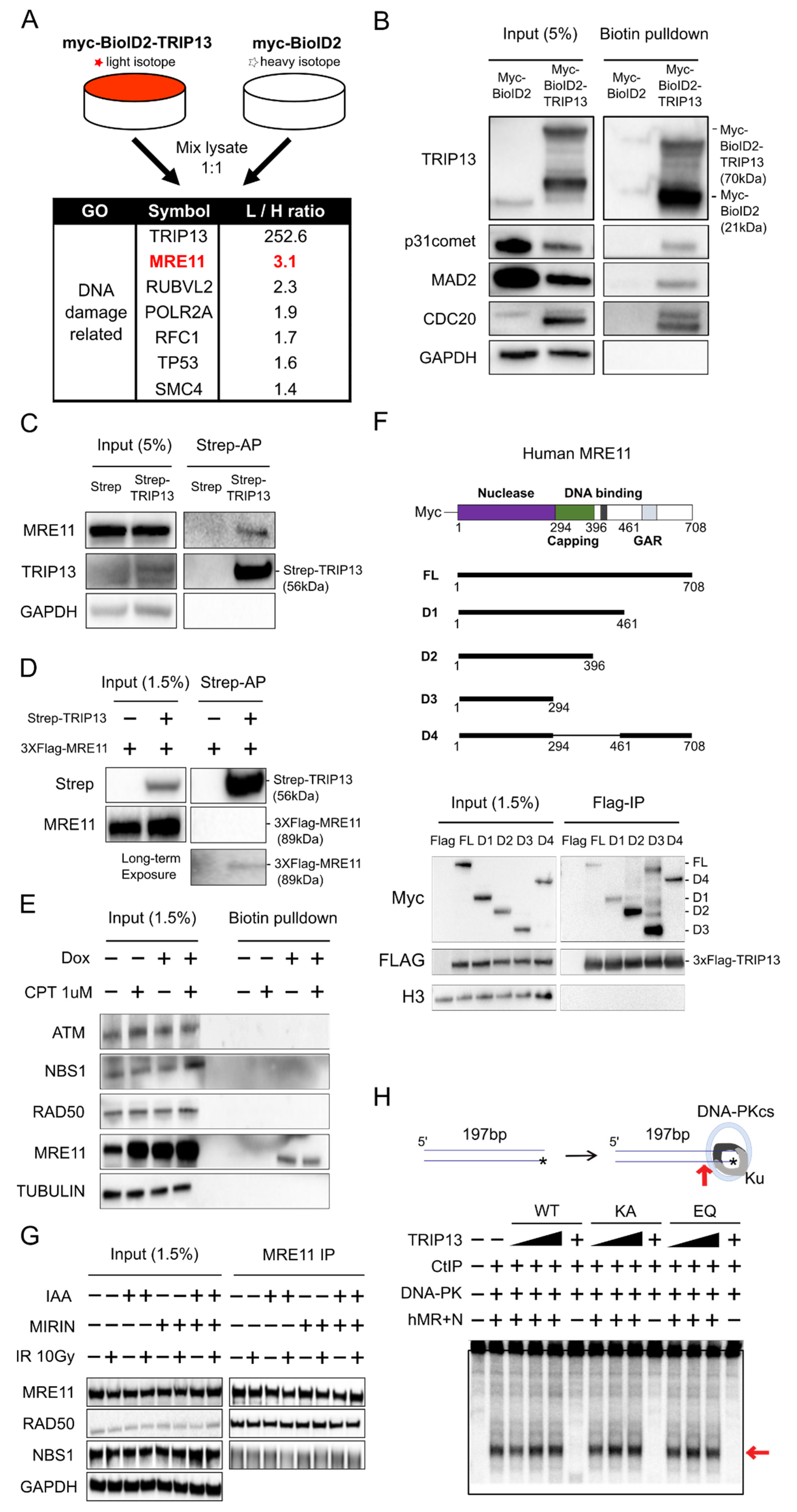 Cells 11 04095 g002 Cells 11 04095 g002