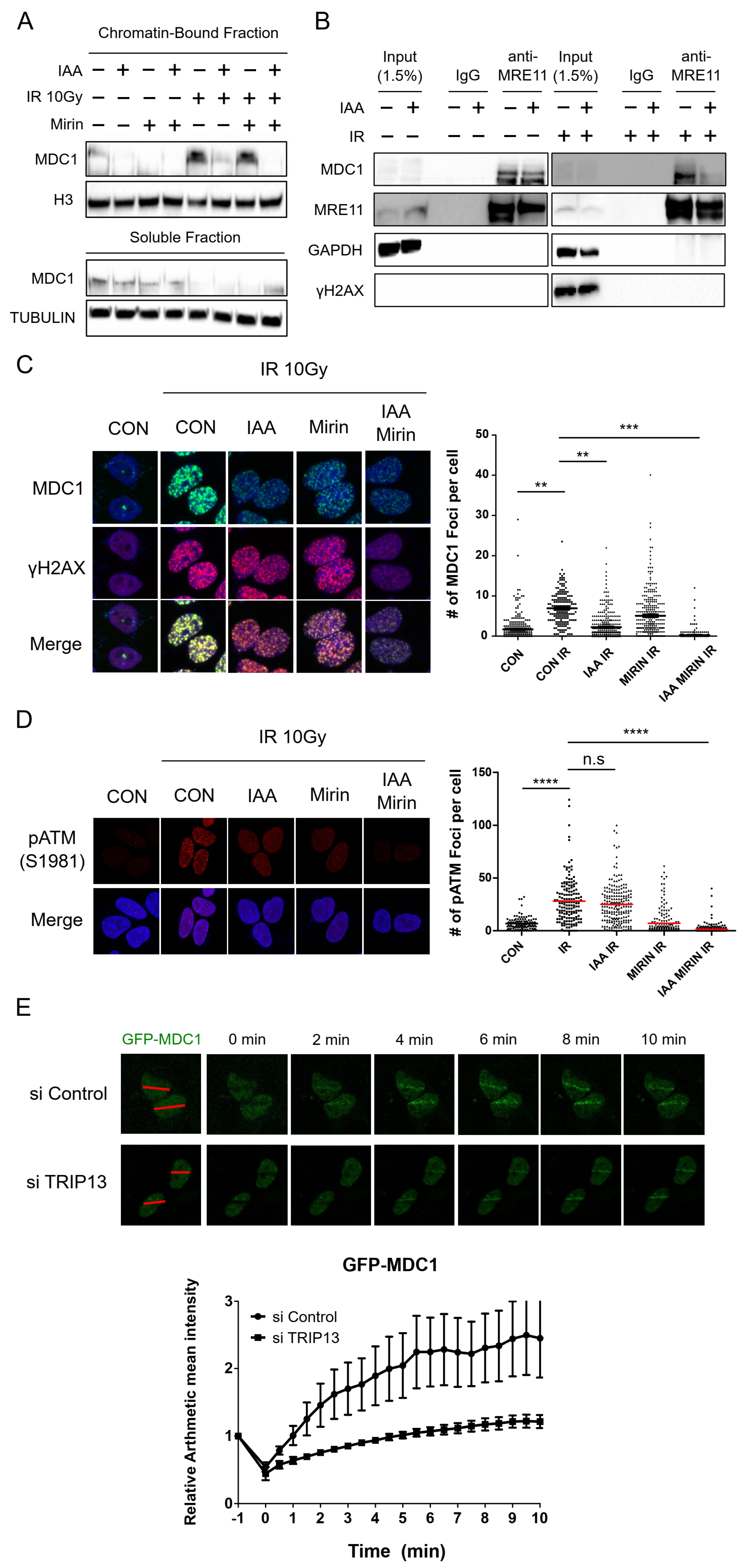 Cells 11 04095 g003 Cells 11 04095 g003