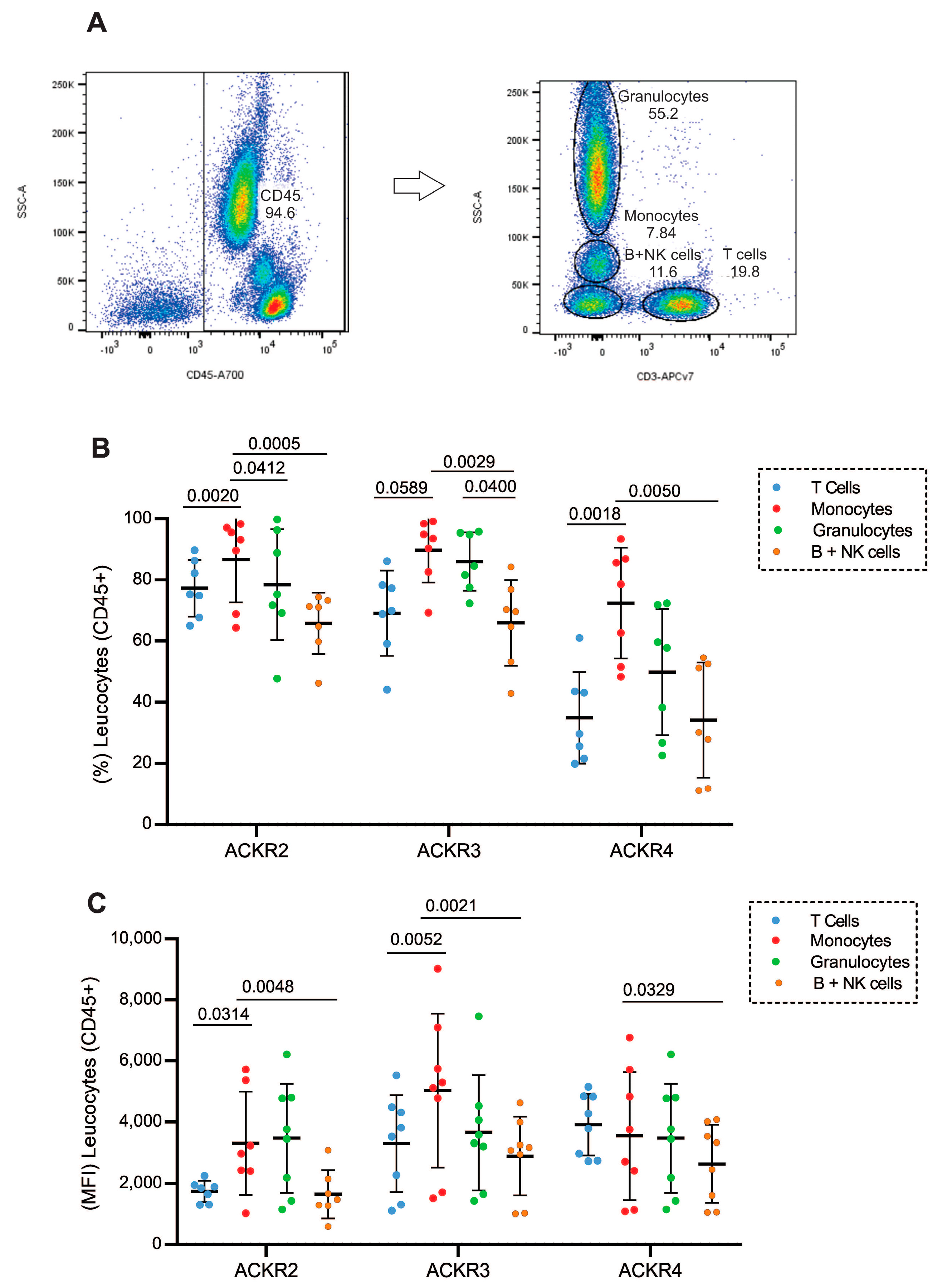 Cells 11 04099 g001 Cells 11 04099 g001