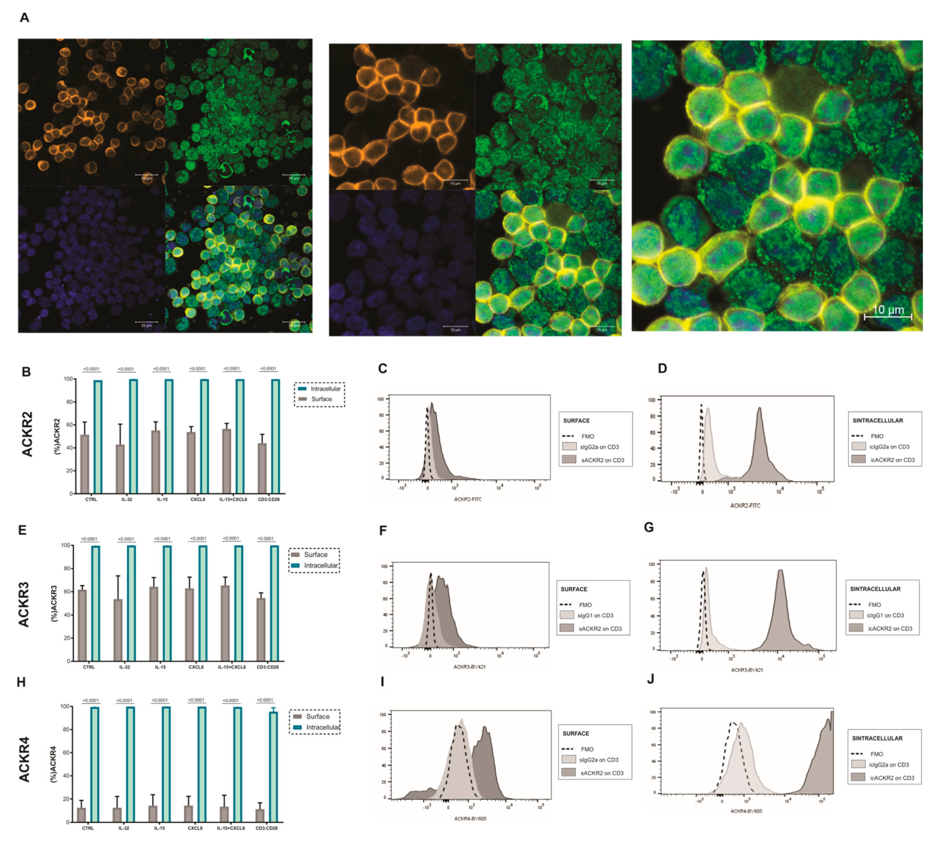 Cells 11 04099 g004 Cells 11 04099 g004