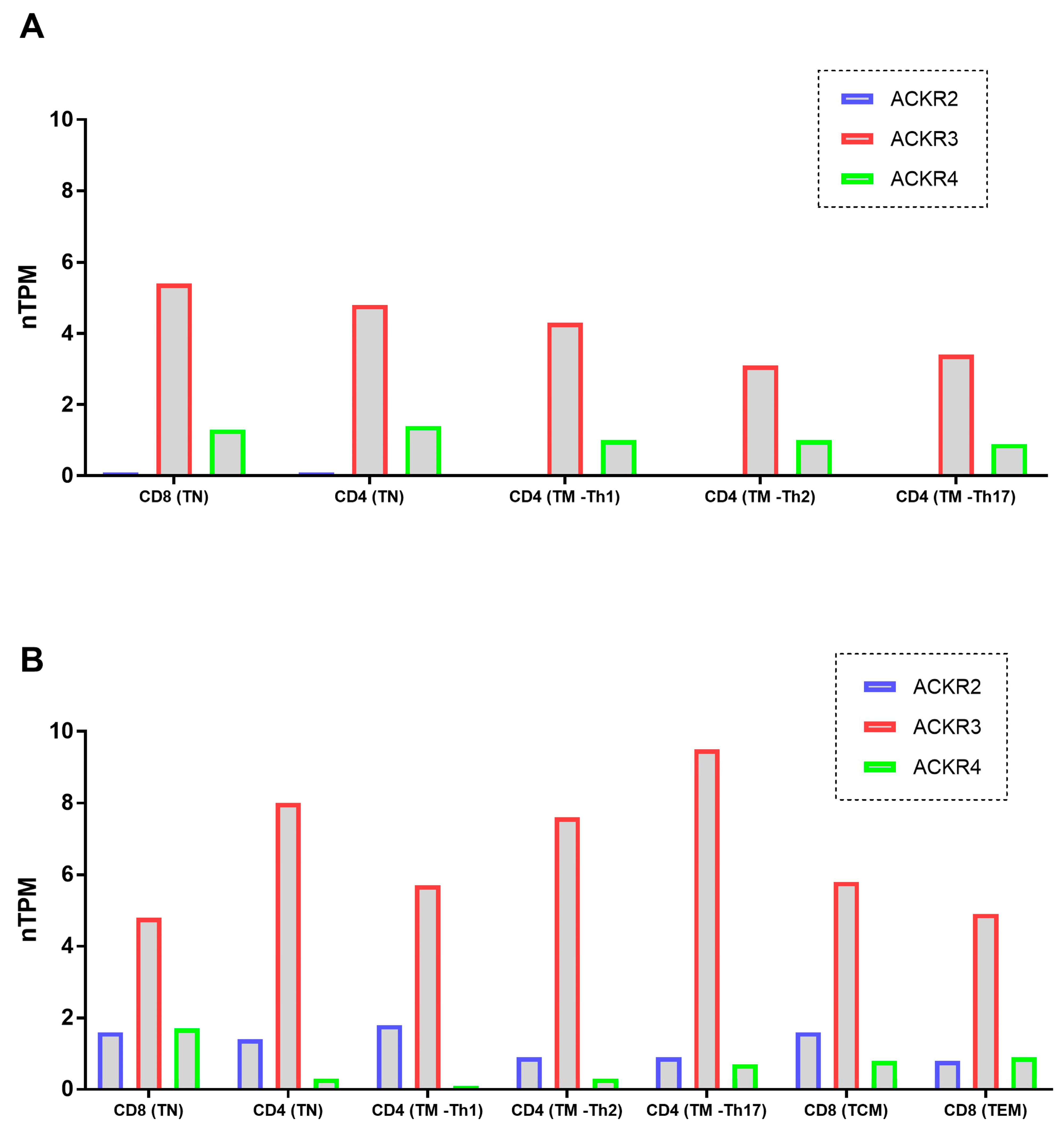 Cells 11 04099 g005 Cells 11 04099 g005