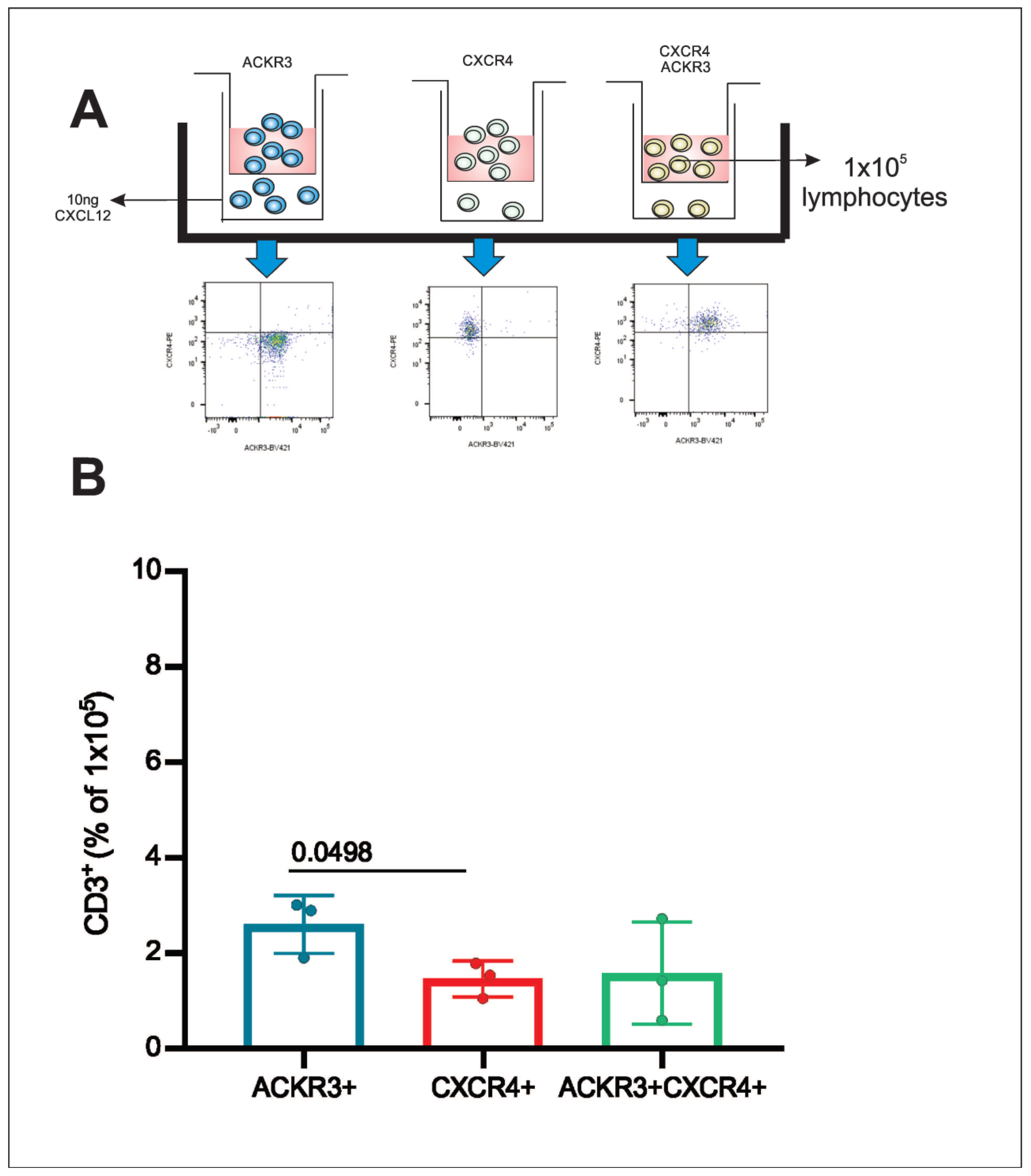 Cells 11 04099 g006 Cells 11 04099 g006