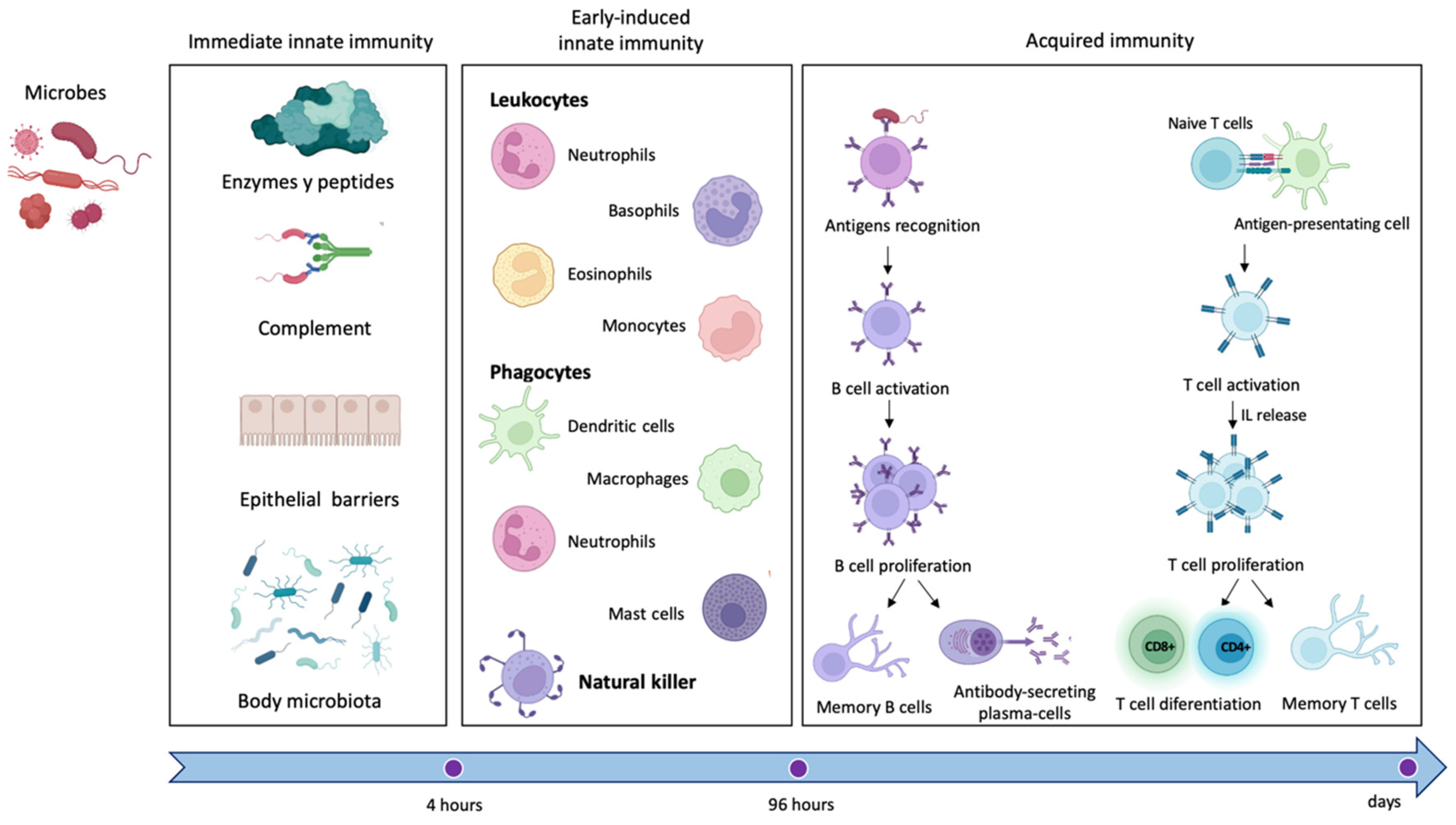 Cells 11 04103 g001 Cells 11 04103 g001