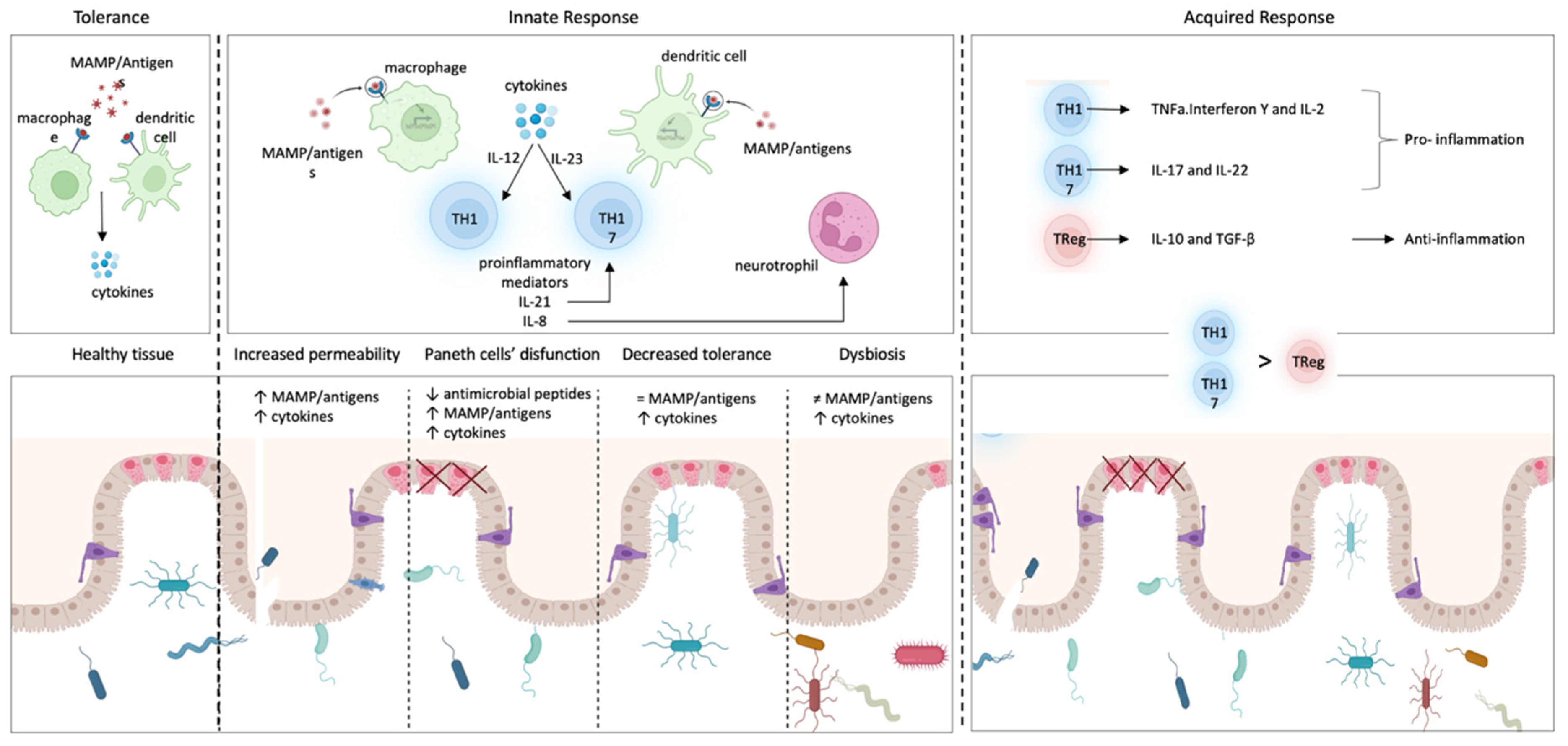 Cells 11 04103 g006 Cells 11 04103 g006