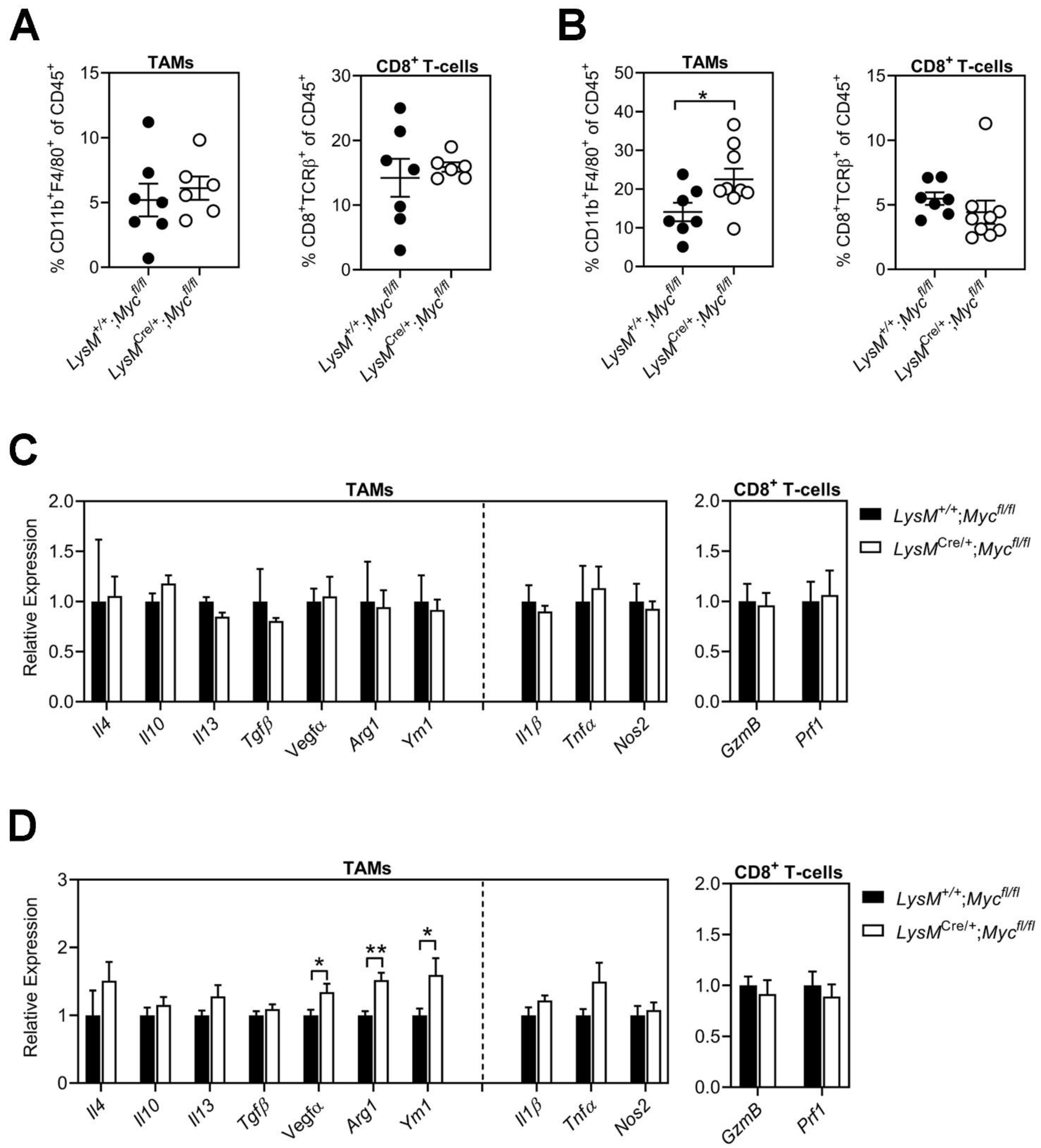 Cells 11 04104 g004 Cells 11 04104 g004