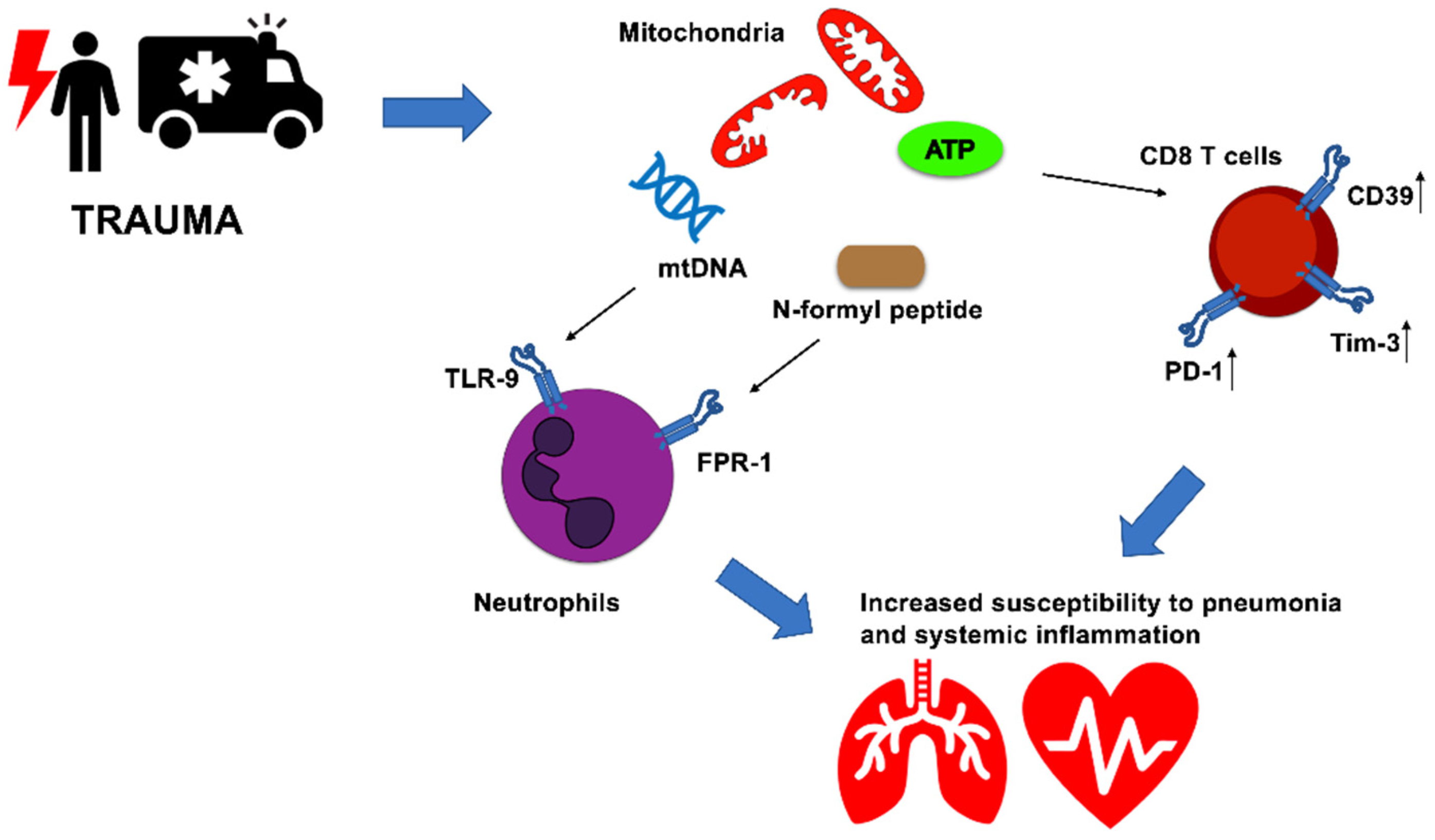 Cells 11 04113 g001 Cells 11 04113 g001