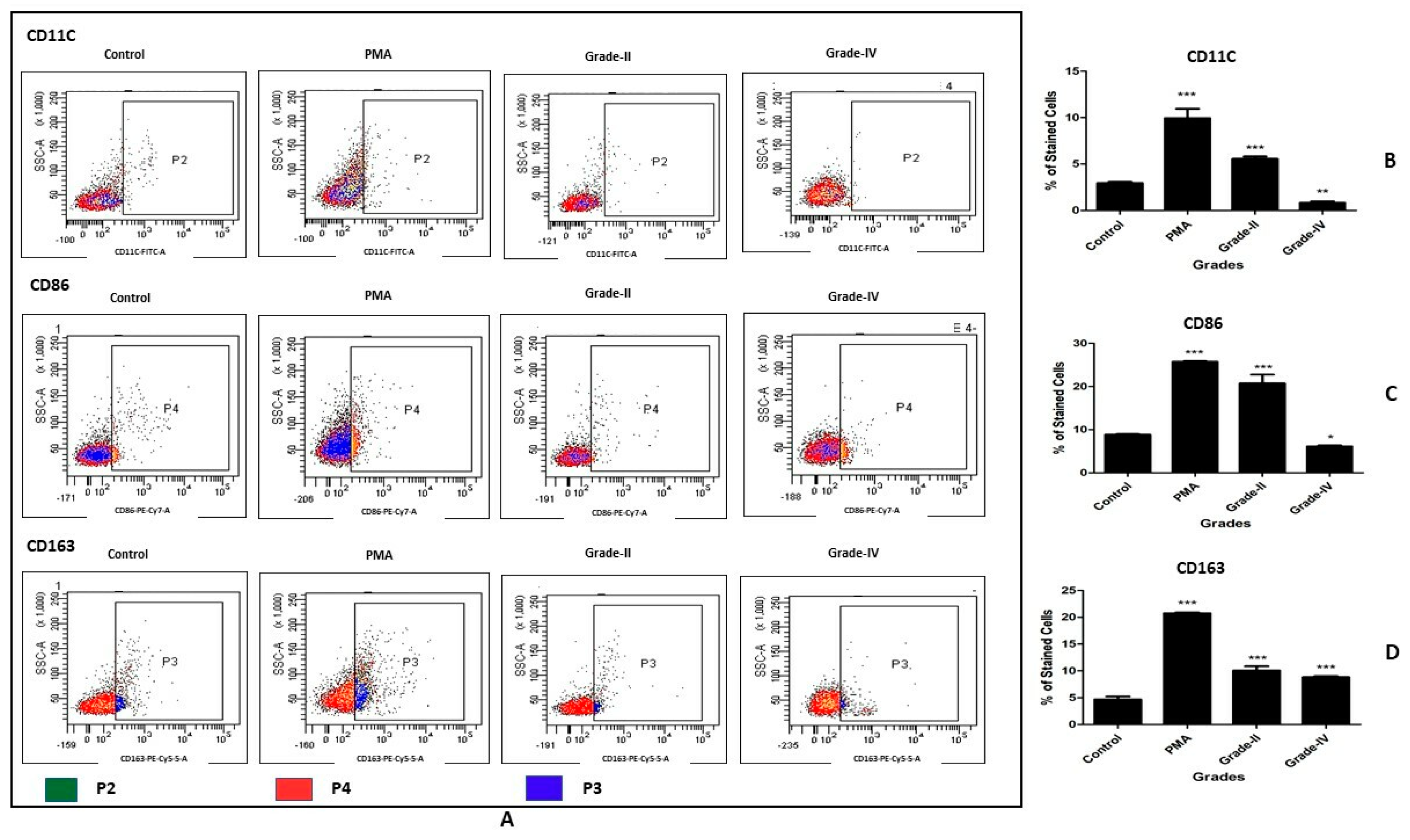 Cells 11 04115 g004 Cells 11 04115 g004