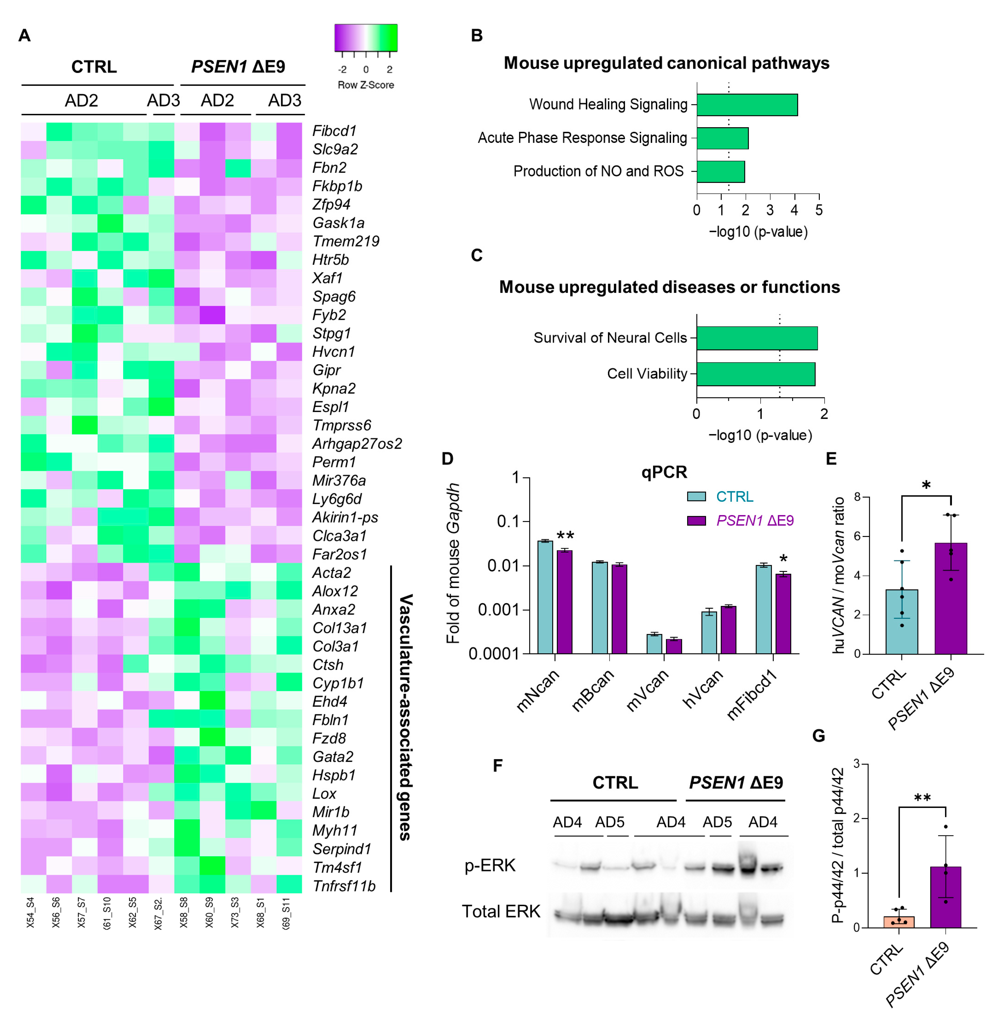 Cells 11 04116 g006 Cells 11 04116 g006