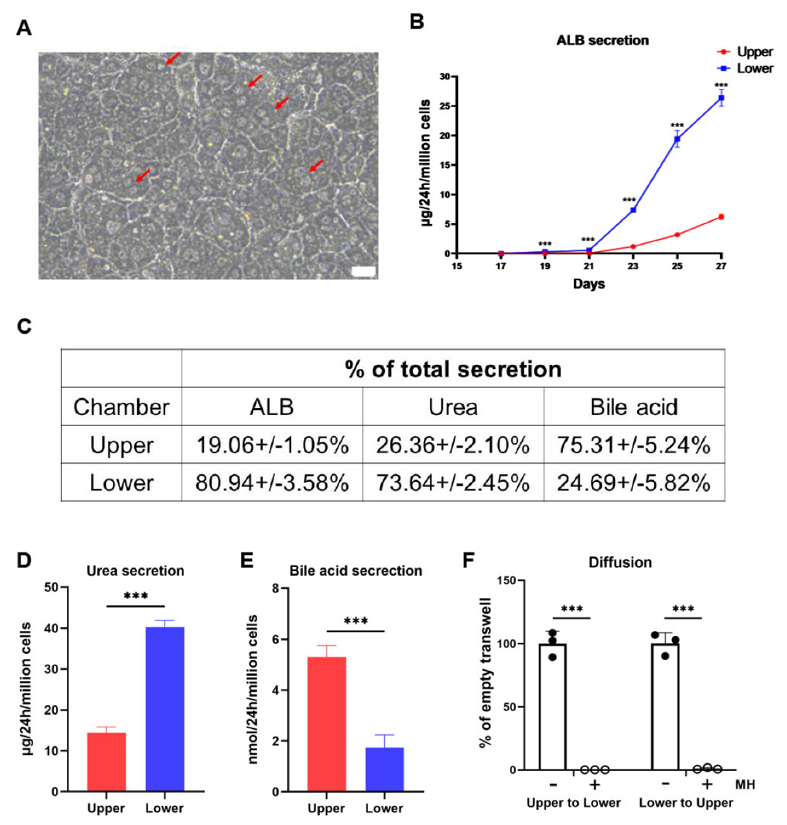 Cells 11 04117 g002 Cells 11 04117 g002
