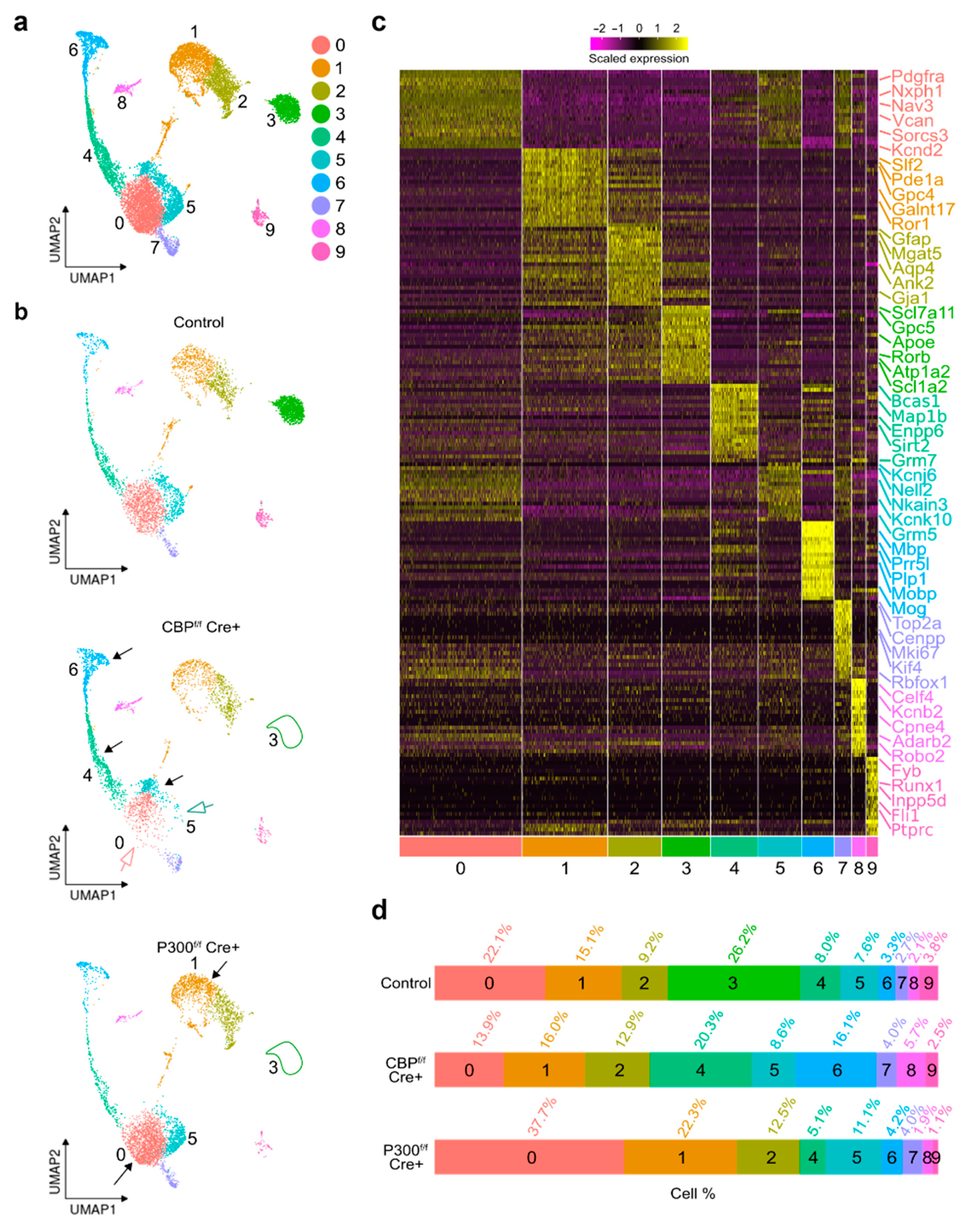 Cells 11 04118 g005 Cells 11 04118 g005
