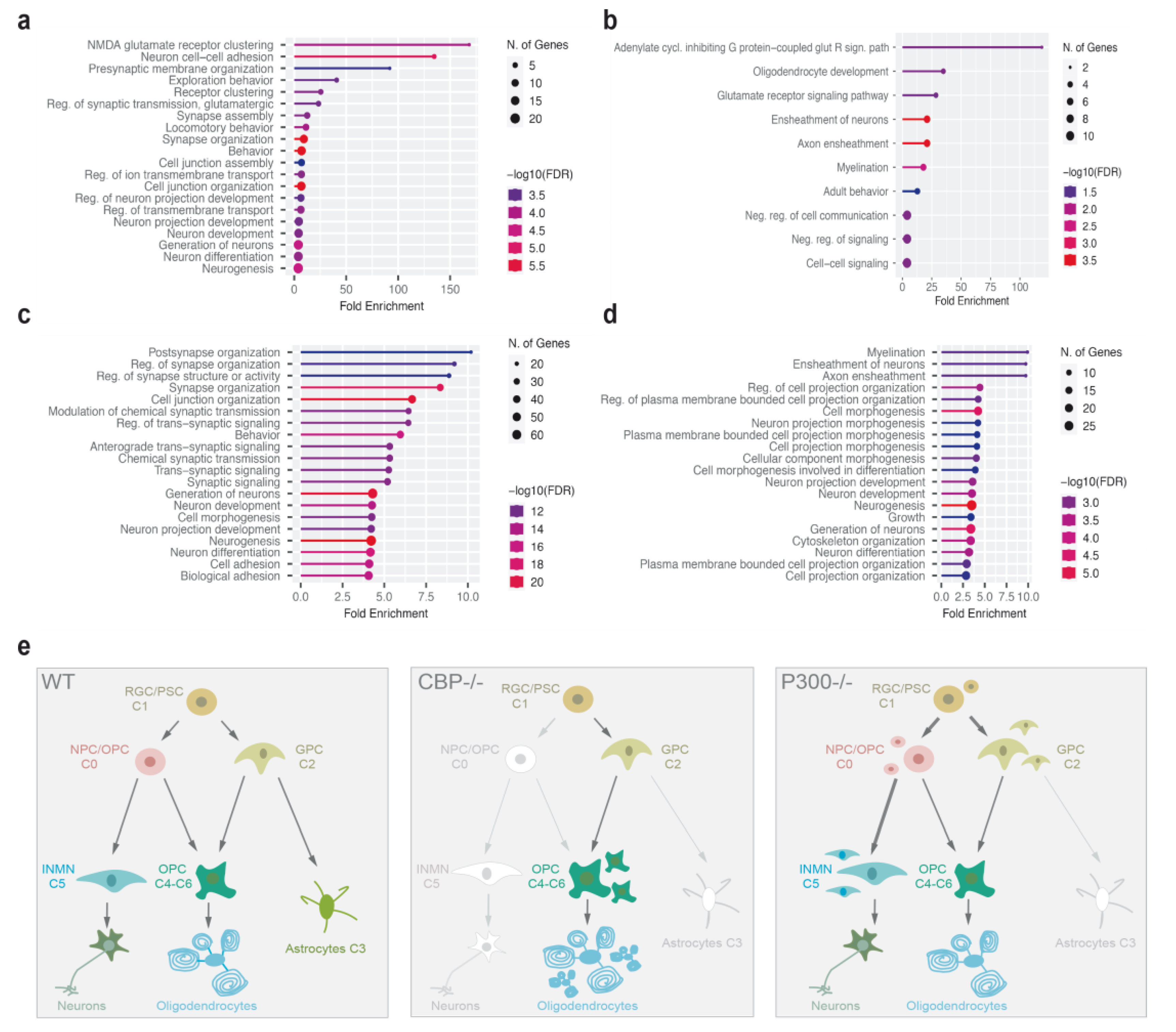 Cells 11 04118 g006 Cells 11 04118 g006