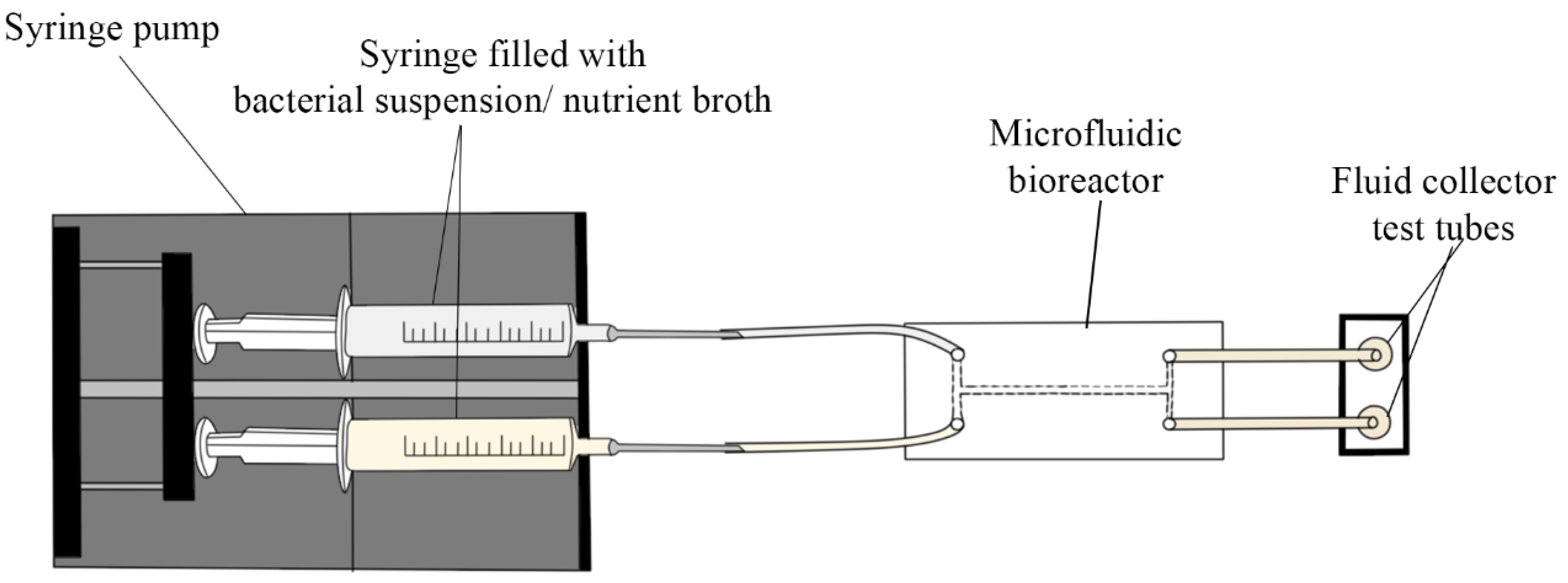 Cells 11 04119 g003 Cells 11 04119 g003