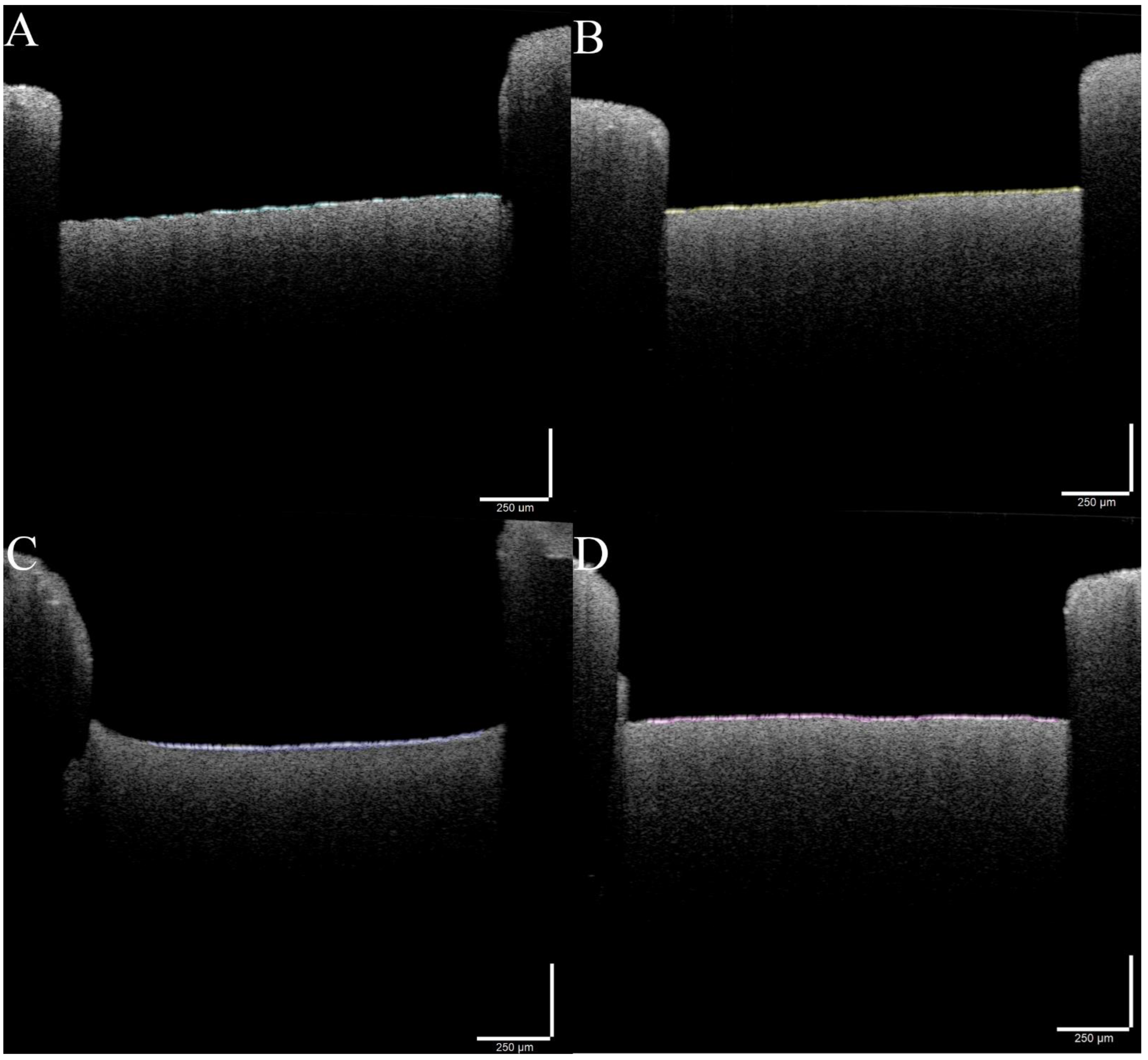 Cells 11 04119 g005 Cells 11 04119 g005