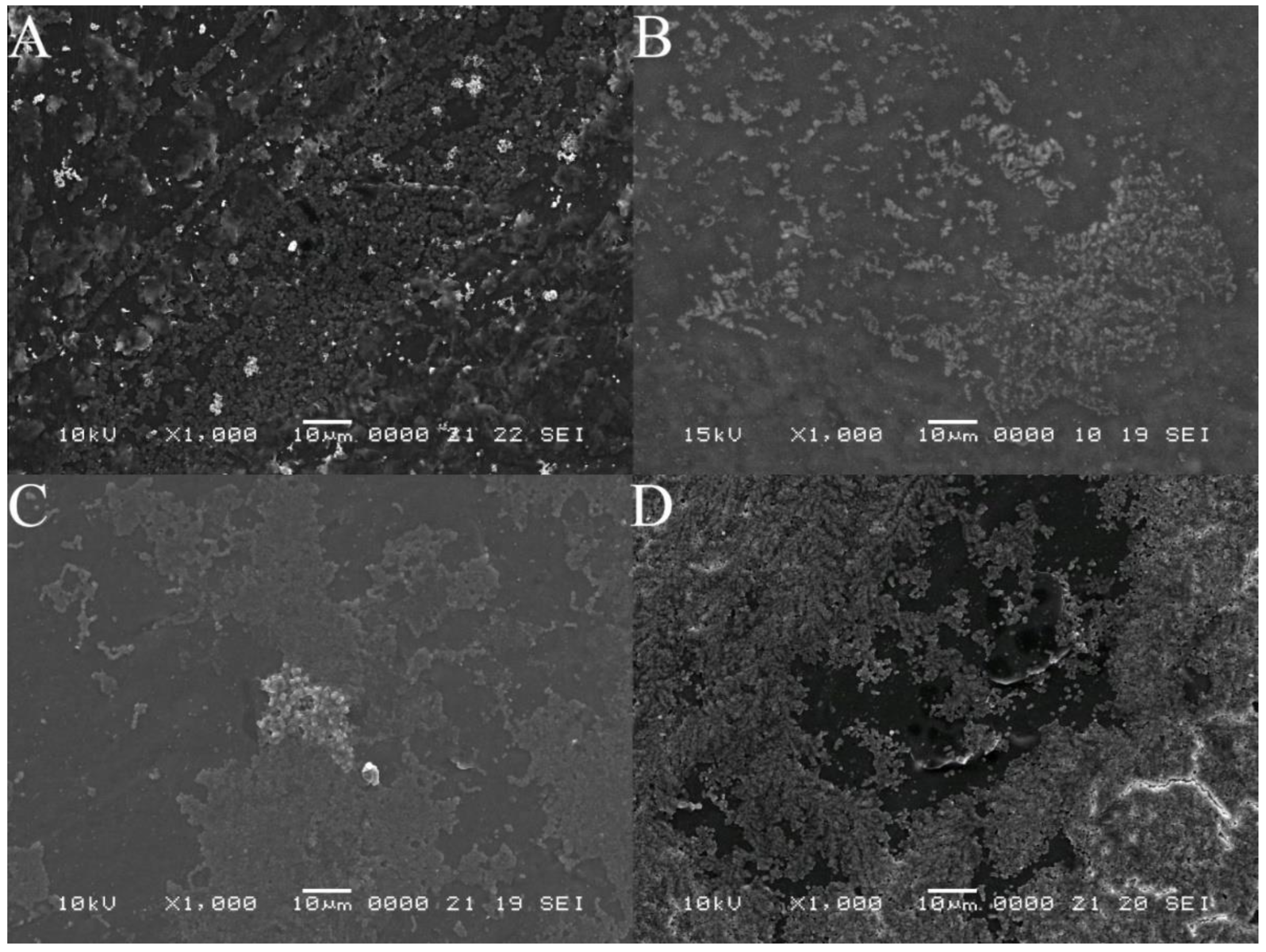 Cells 11 04119 g006 Cells 11 04119 g006