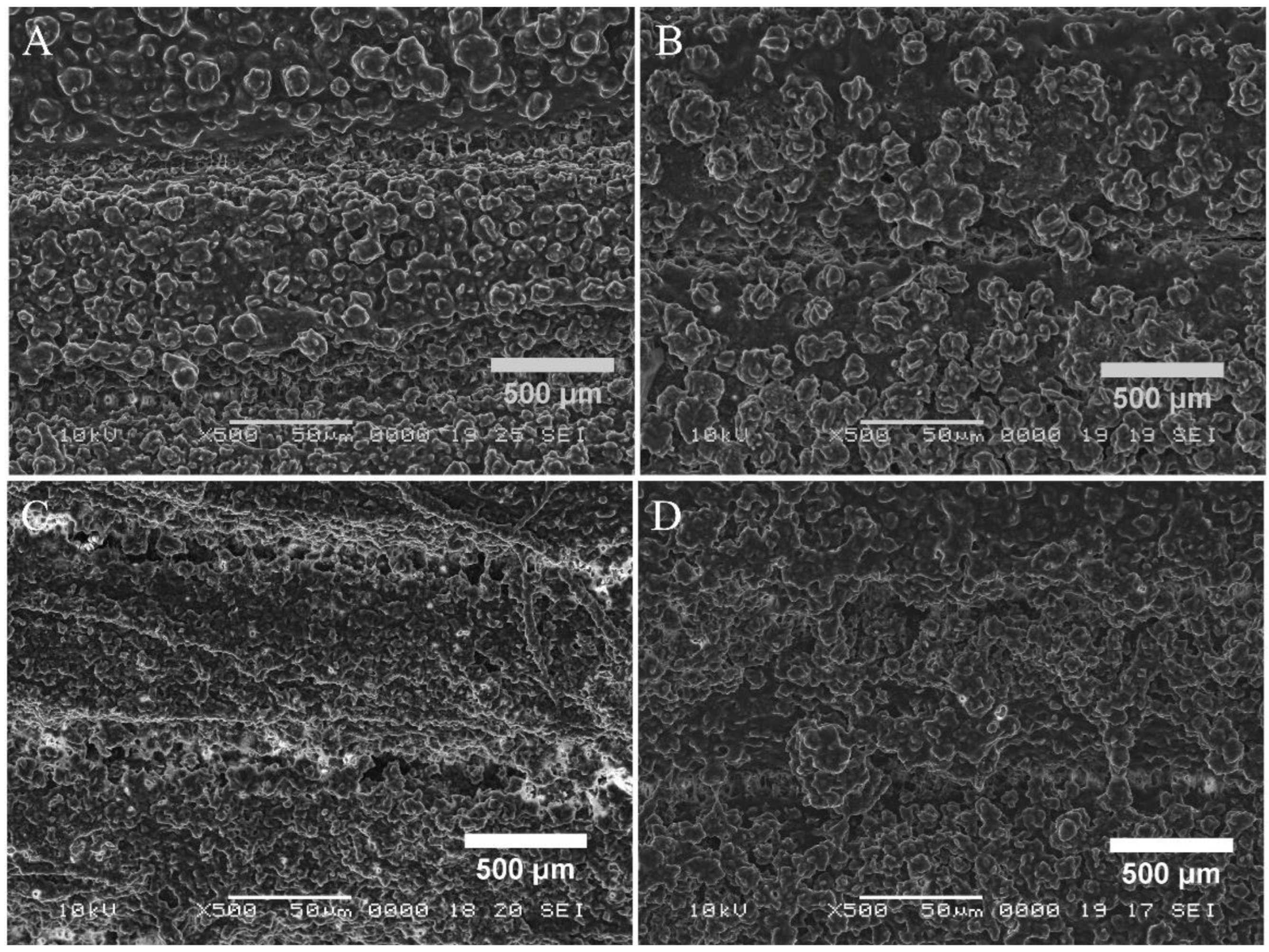 Cells 11 04119 g007 Cells 11 04119 g007