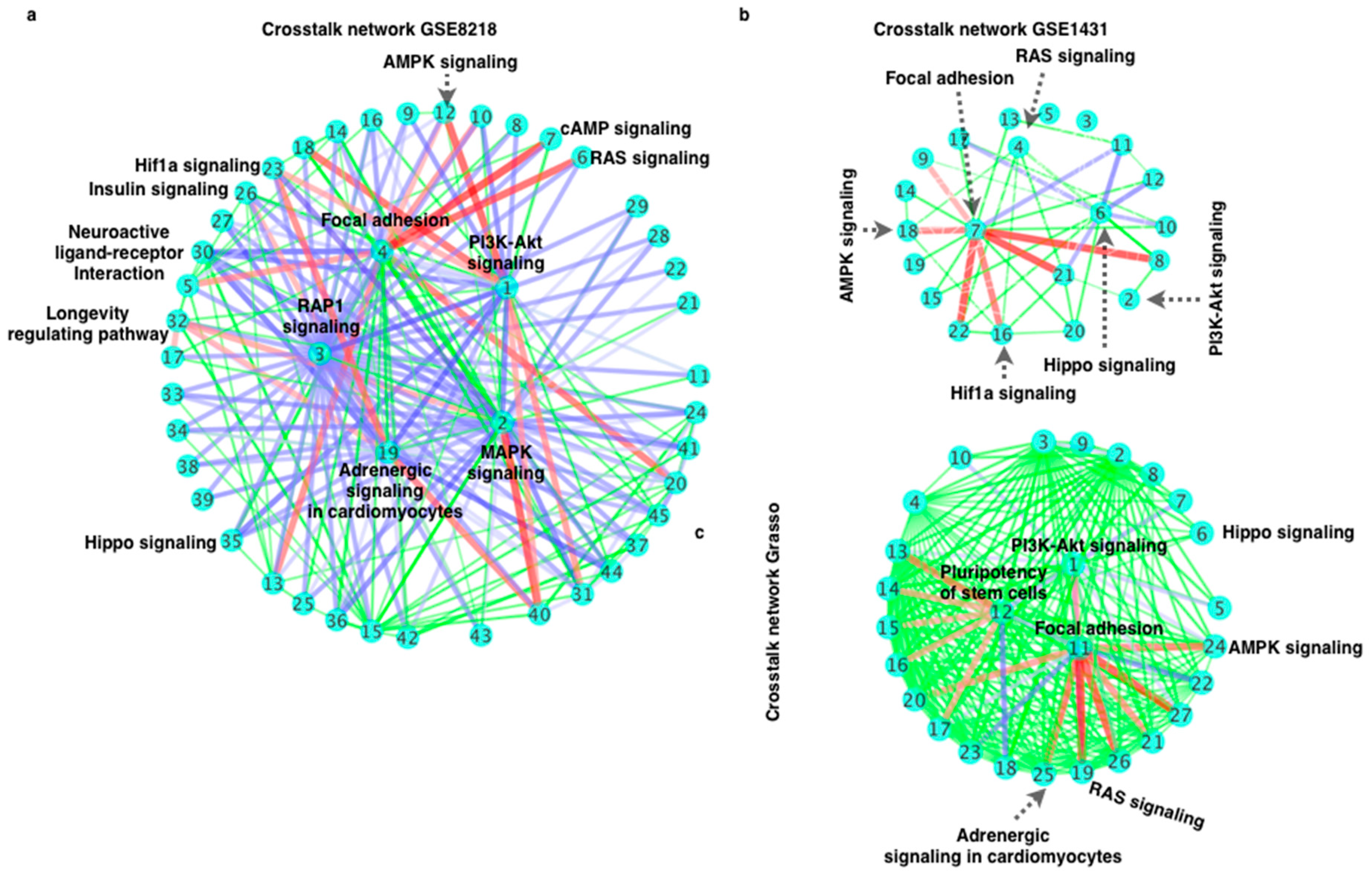 Cells 11 04121 g004 Cells 11 04121 g004