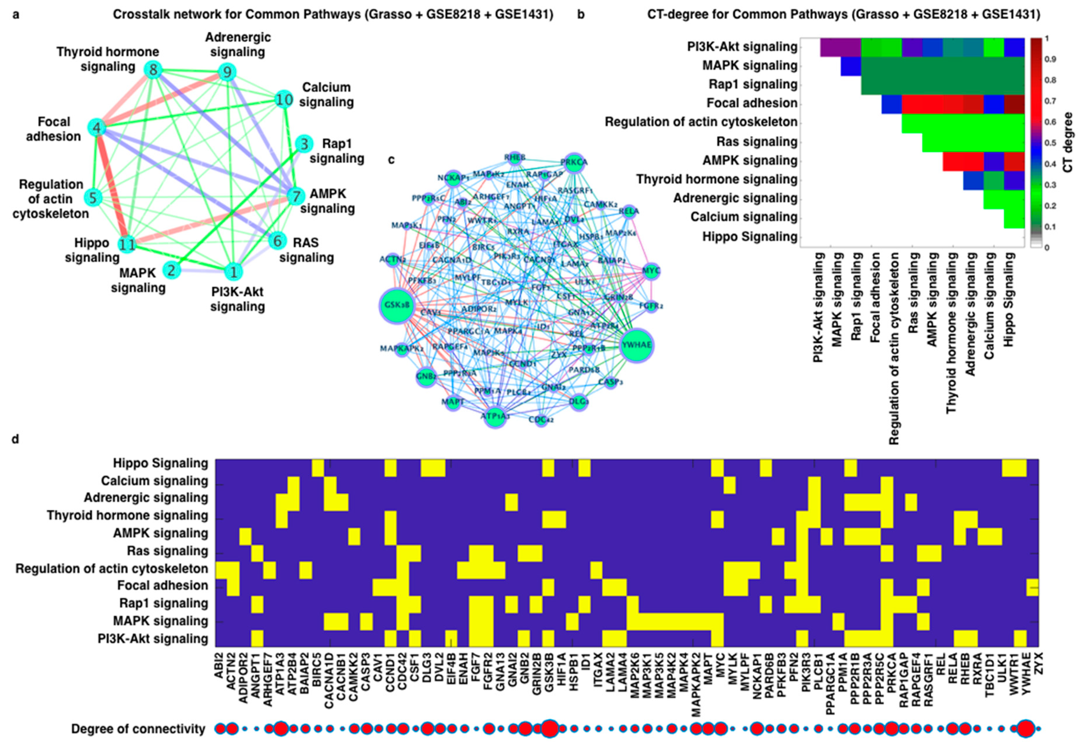 Cells 11 04121 g005 Cells 11 04121 g005