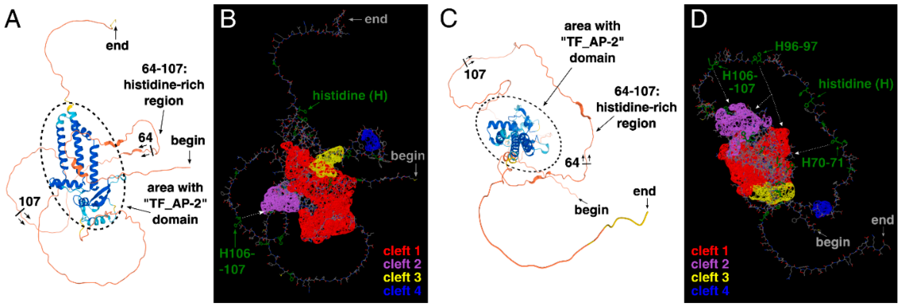 Cells 11 04124 g005 Cells 11 04124 g005