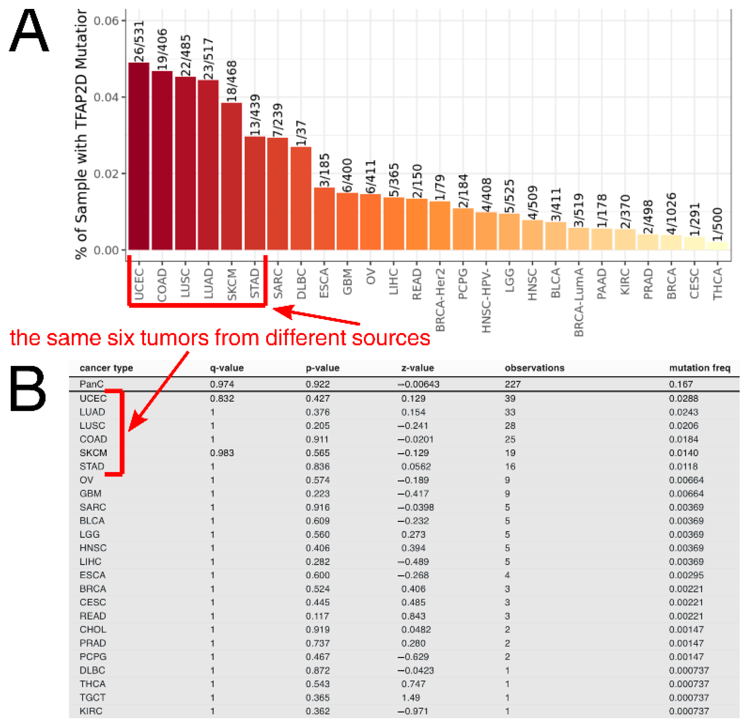 Cells 11 04124 g006 Cells 11 04124 g006
