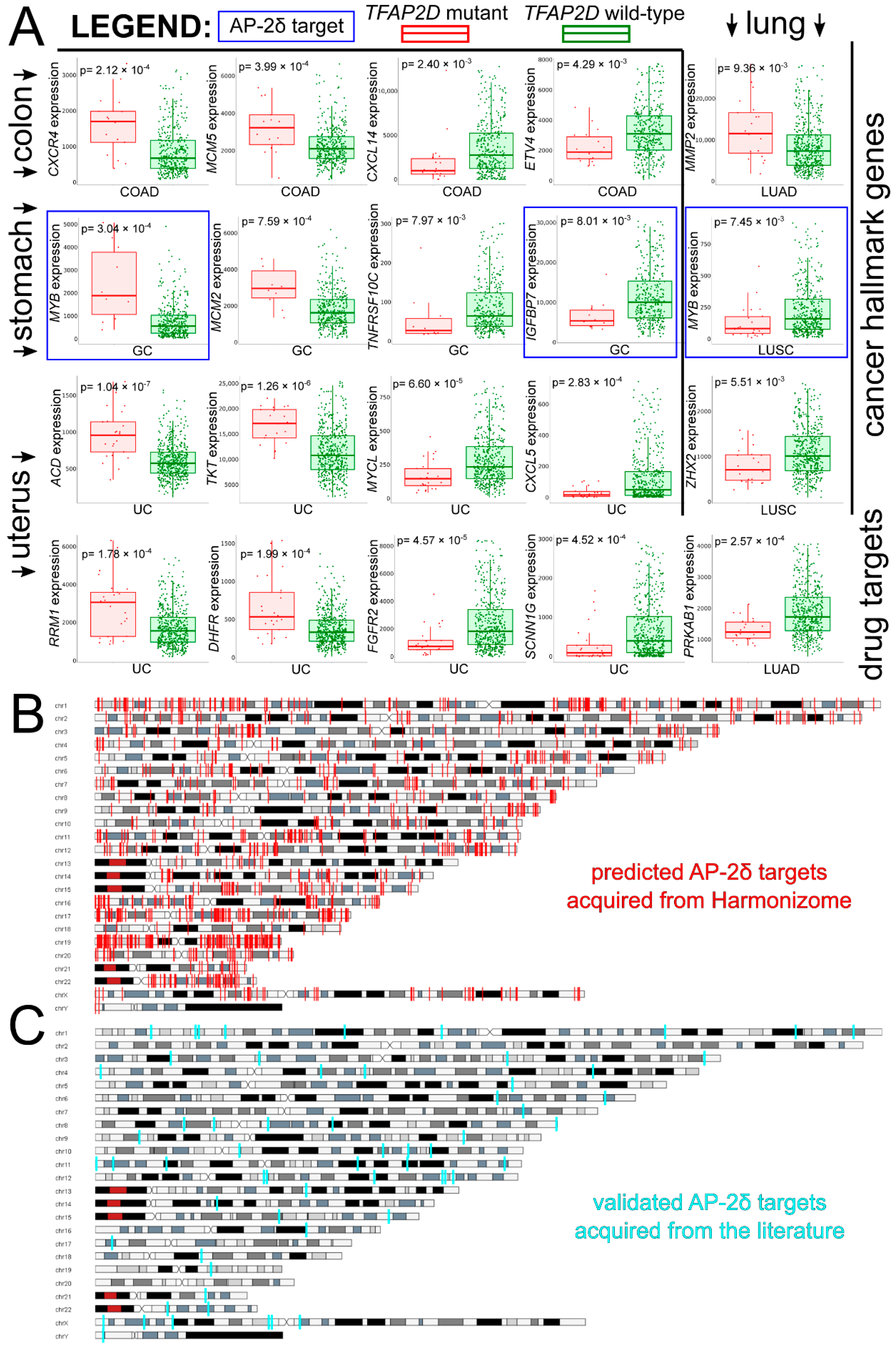 Cells 11 04124 g007 Cells 11 04124 g007