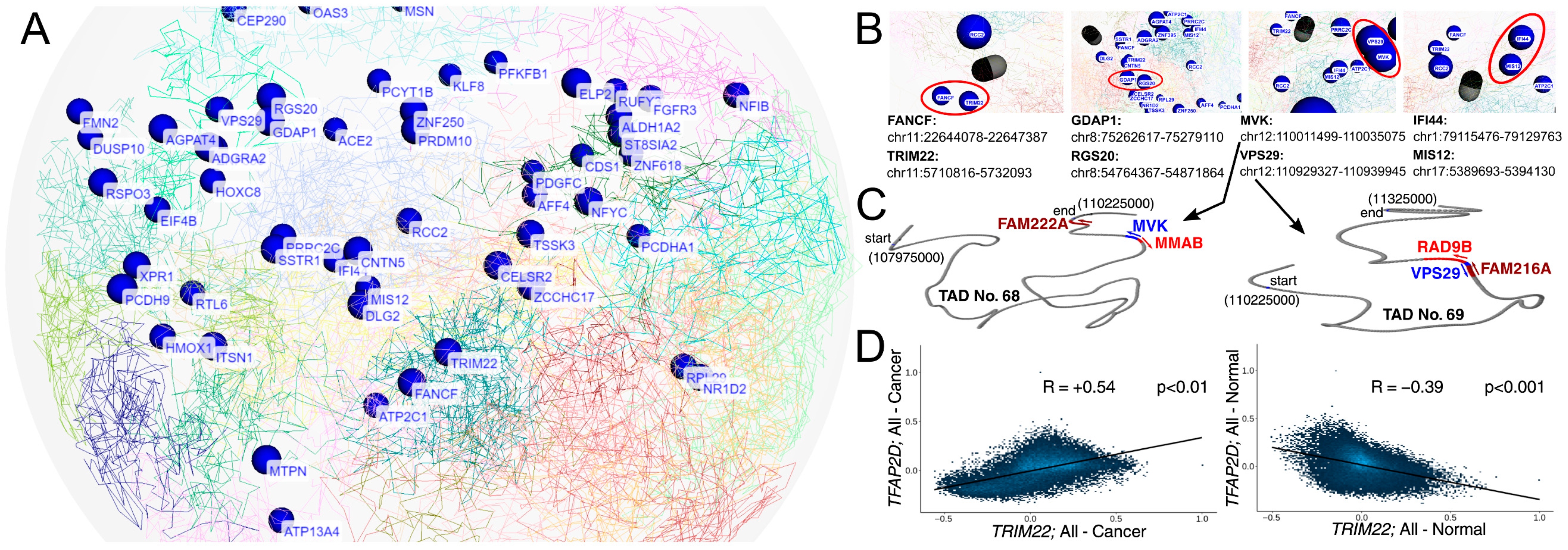 Cells 11 04124 g008 Cells 11 04124 g008