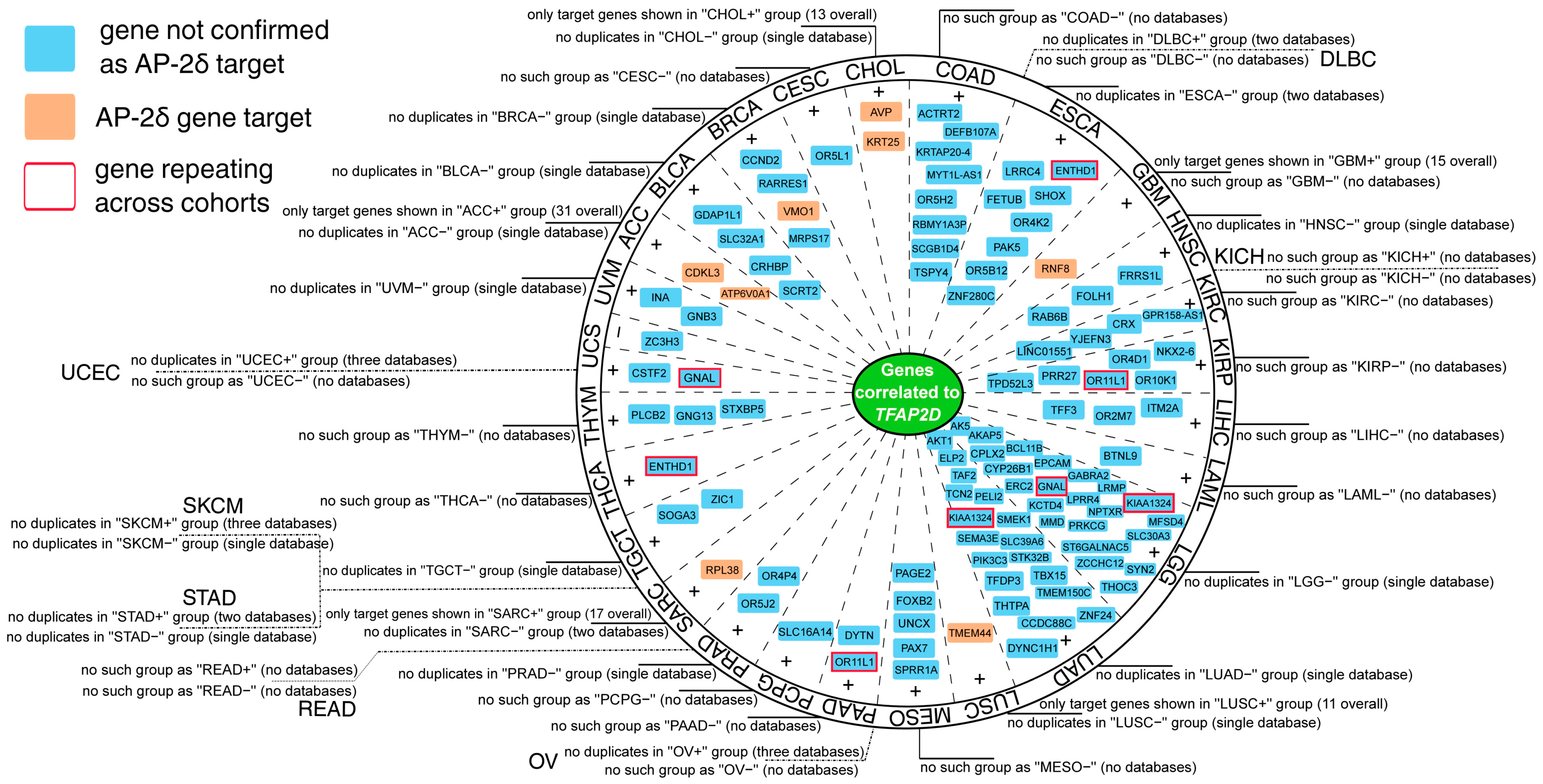 Cells 11 04124 g009 Cells 11 04124 g009