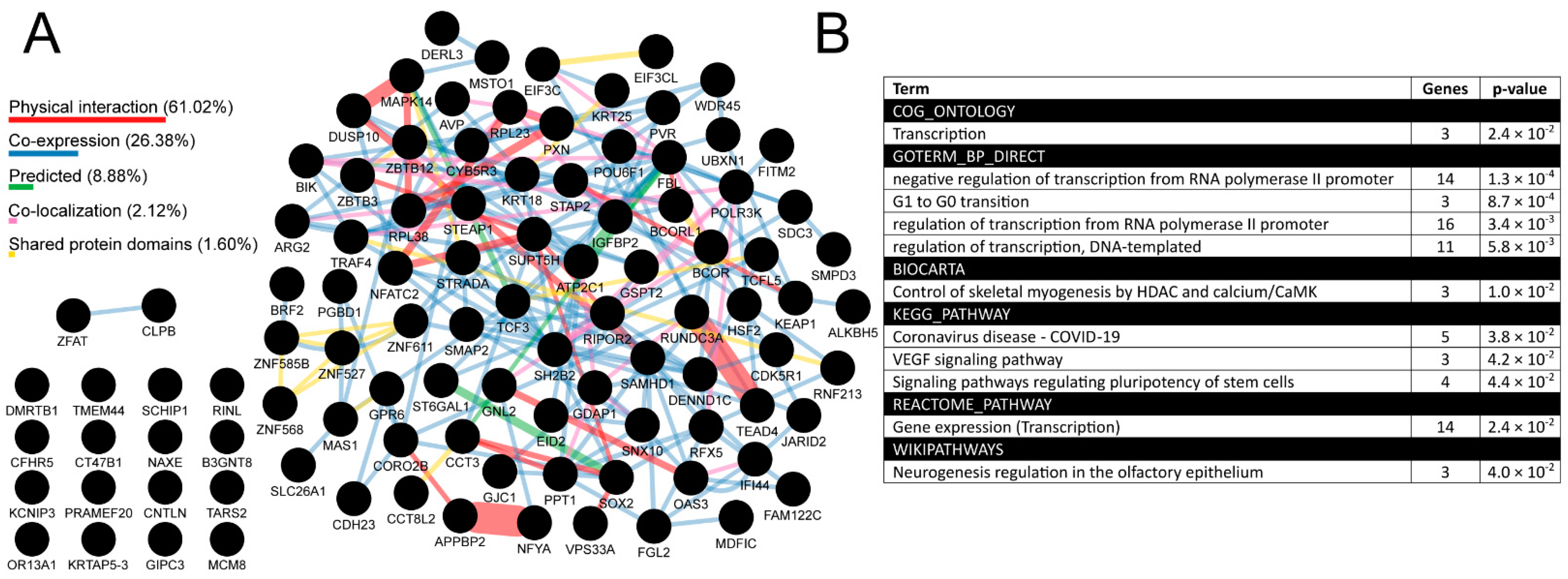 Cells 11 04124 g010 Cells 11 04124 g010