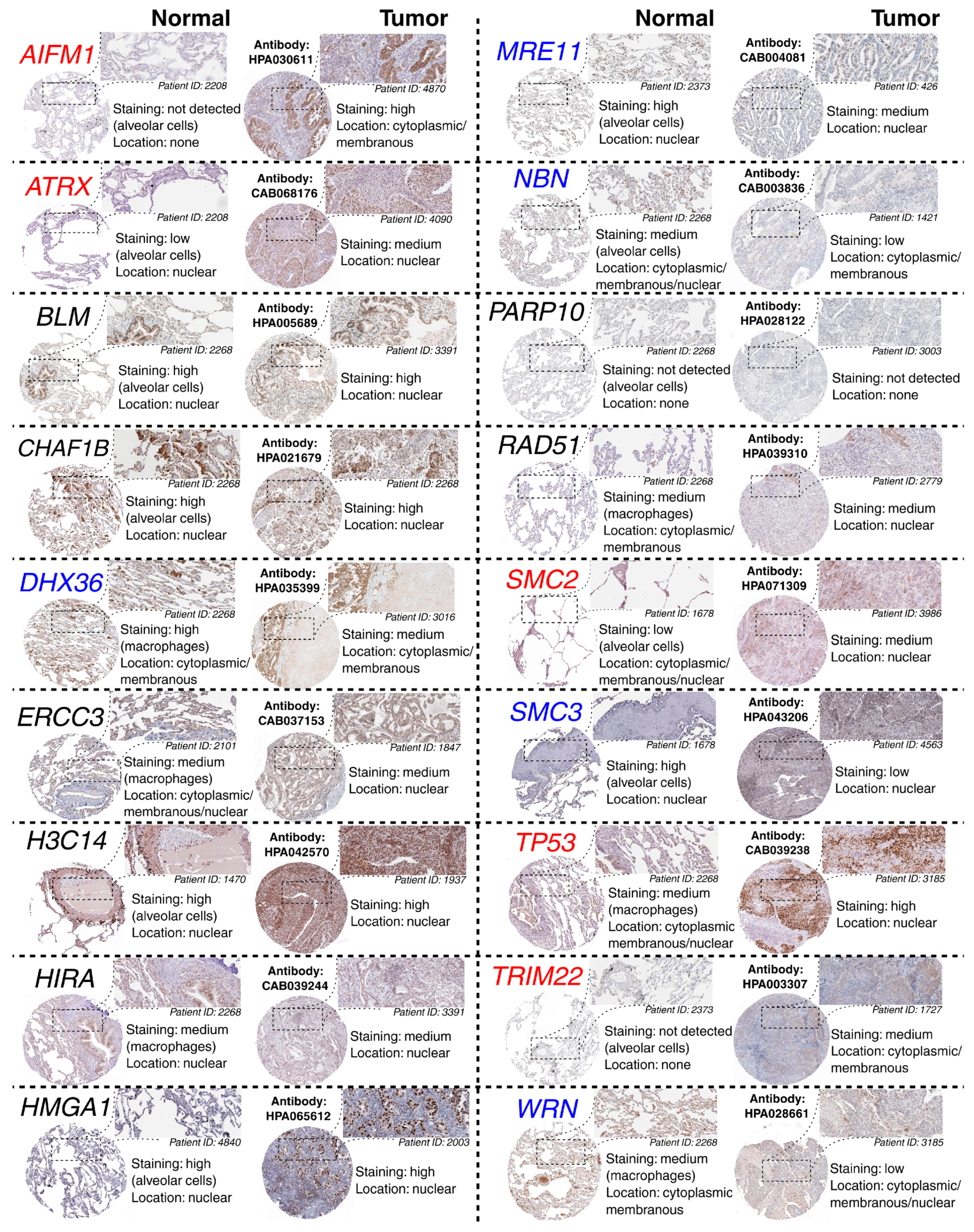 Cells 11 04124 g012 Cells 11 04124 g012