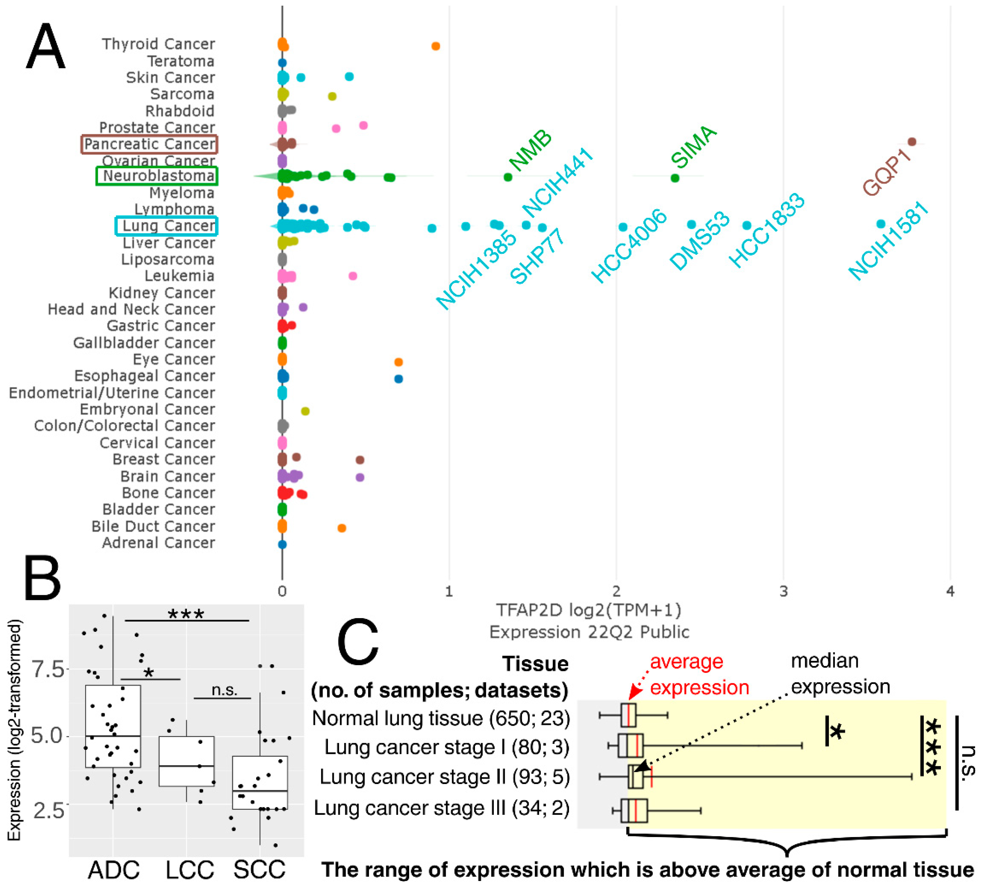 Cells 11 04124 g013 Cells 11 04124 g013