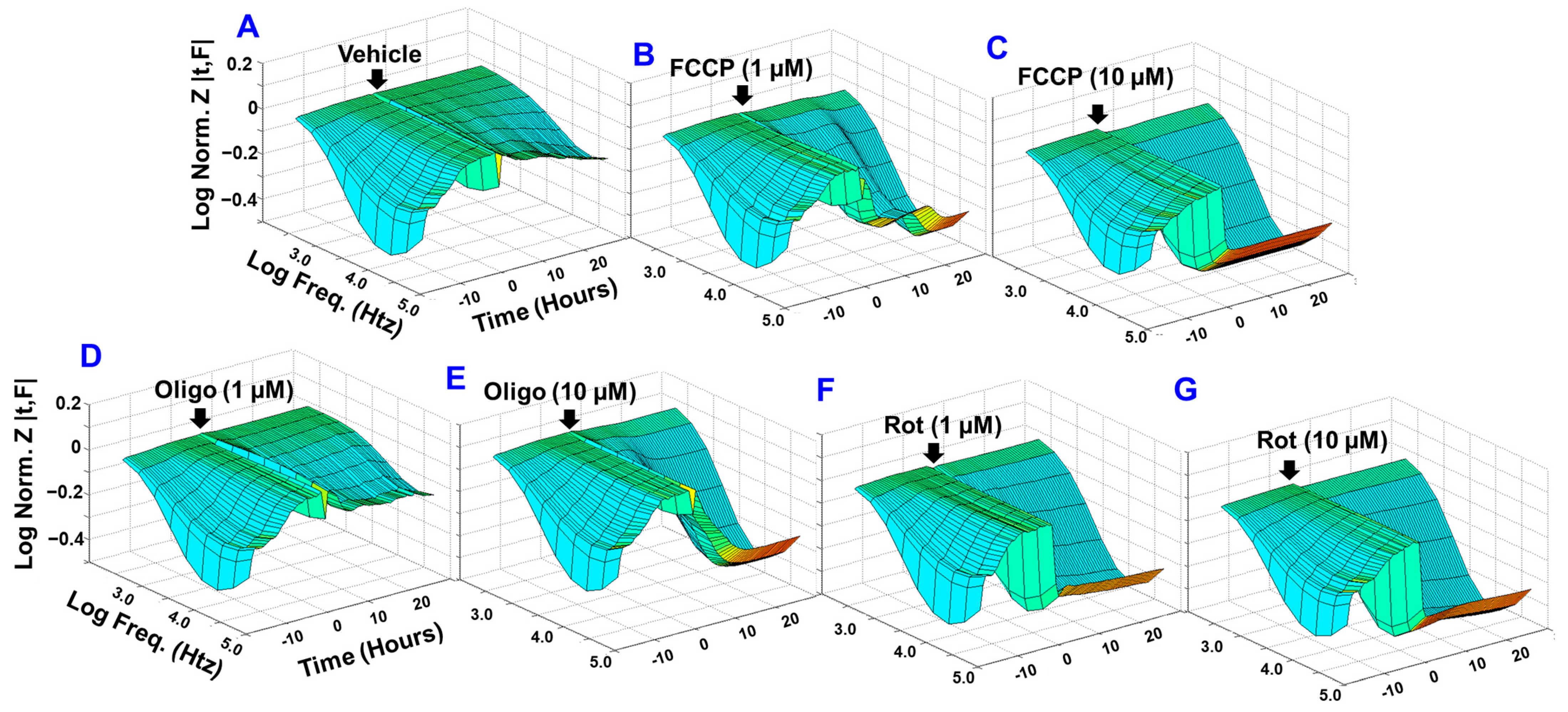 Cells 11 04128 g001 Cells 11 04128 g001