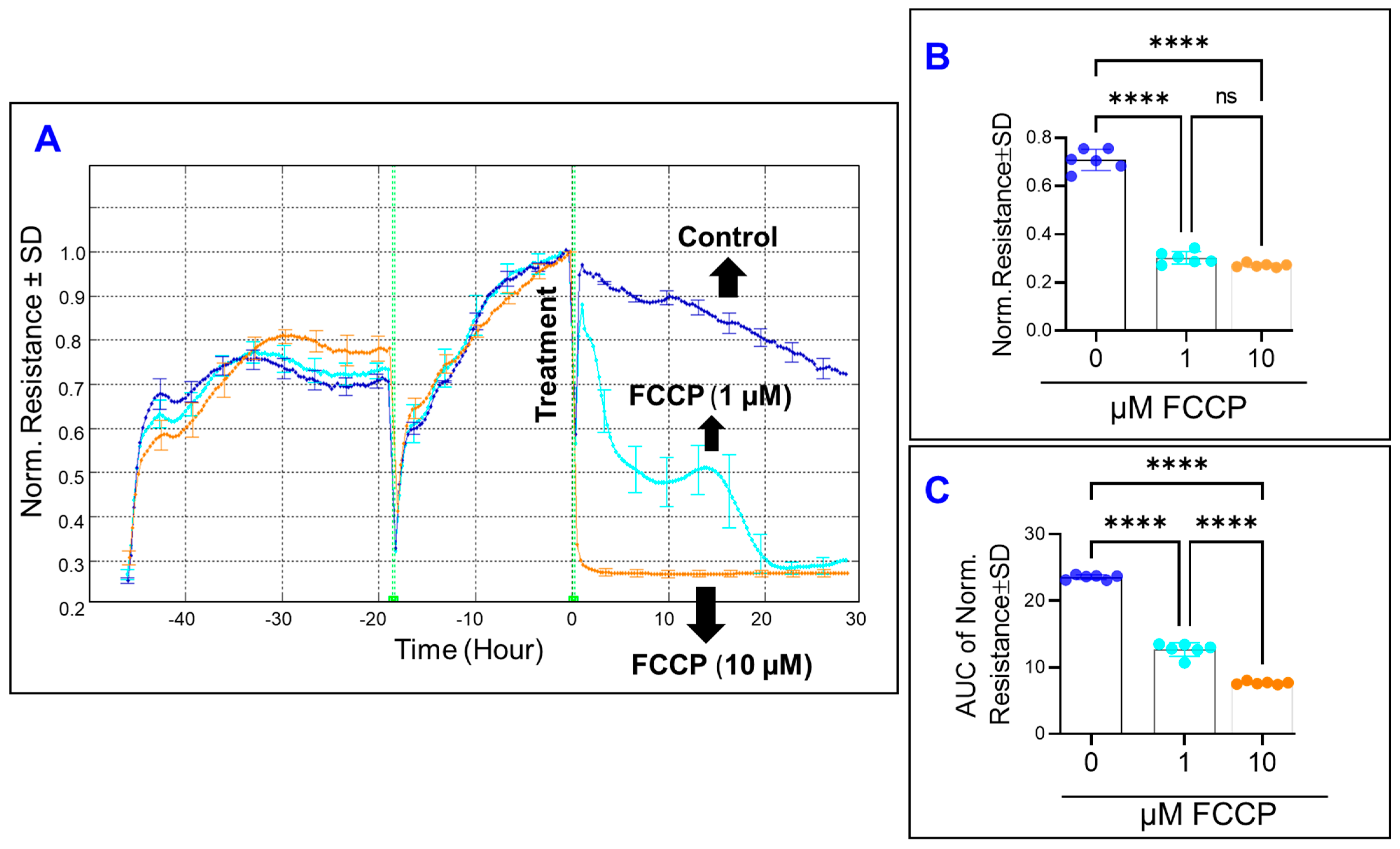Cells 11 04128 g003 Cells 11 04128 g003