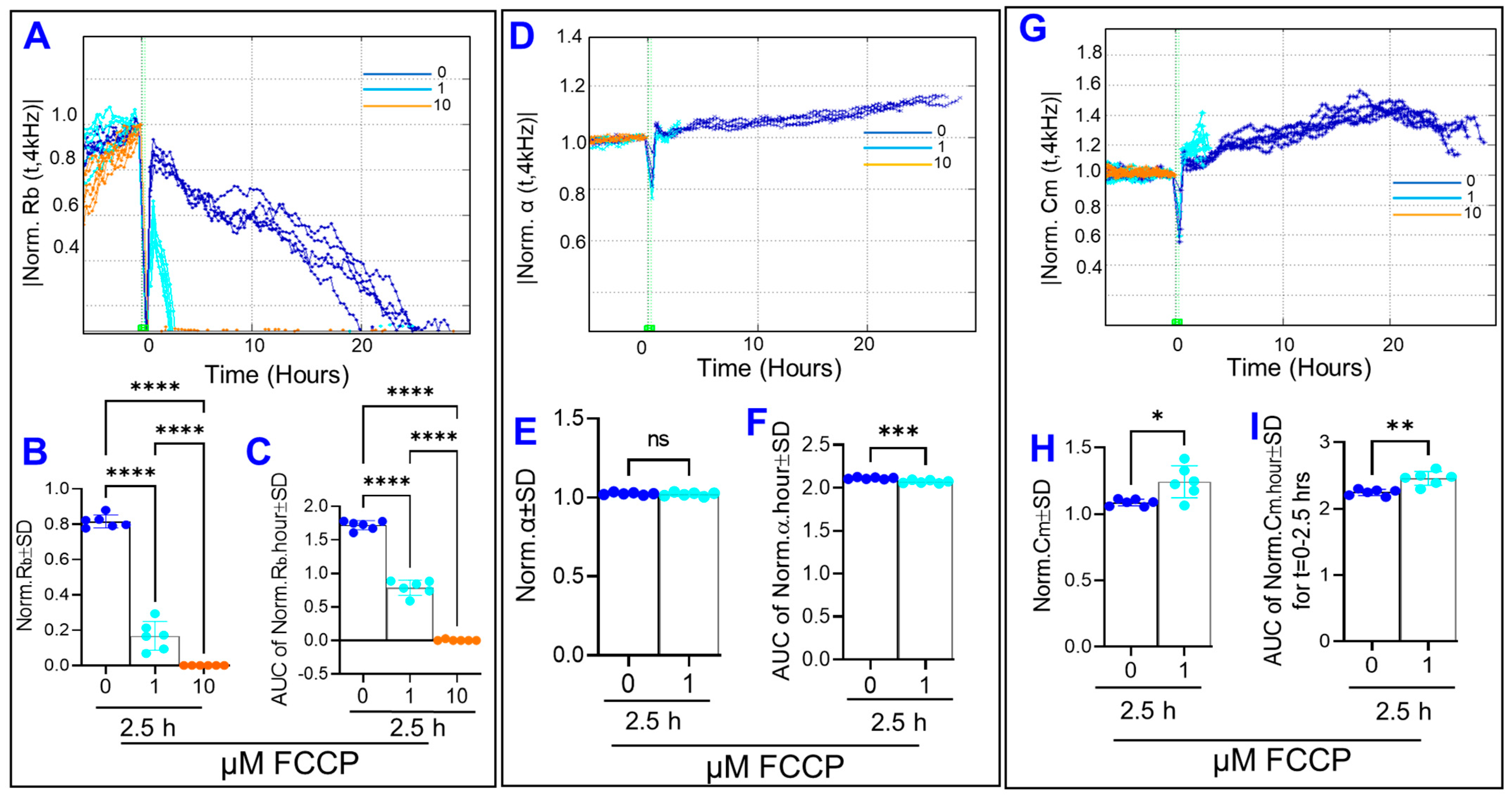 Cells 11 04128 g004 Cells 11 04128 g004