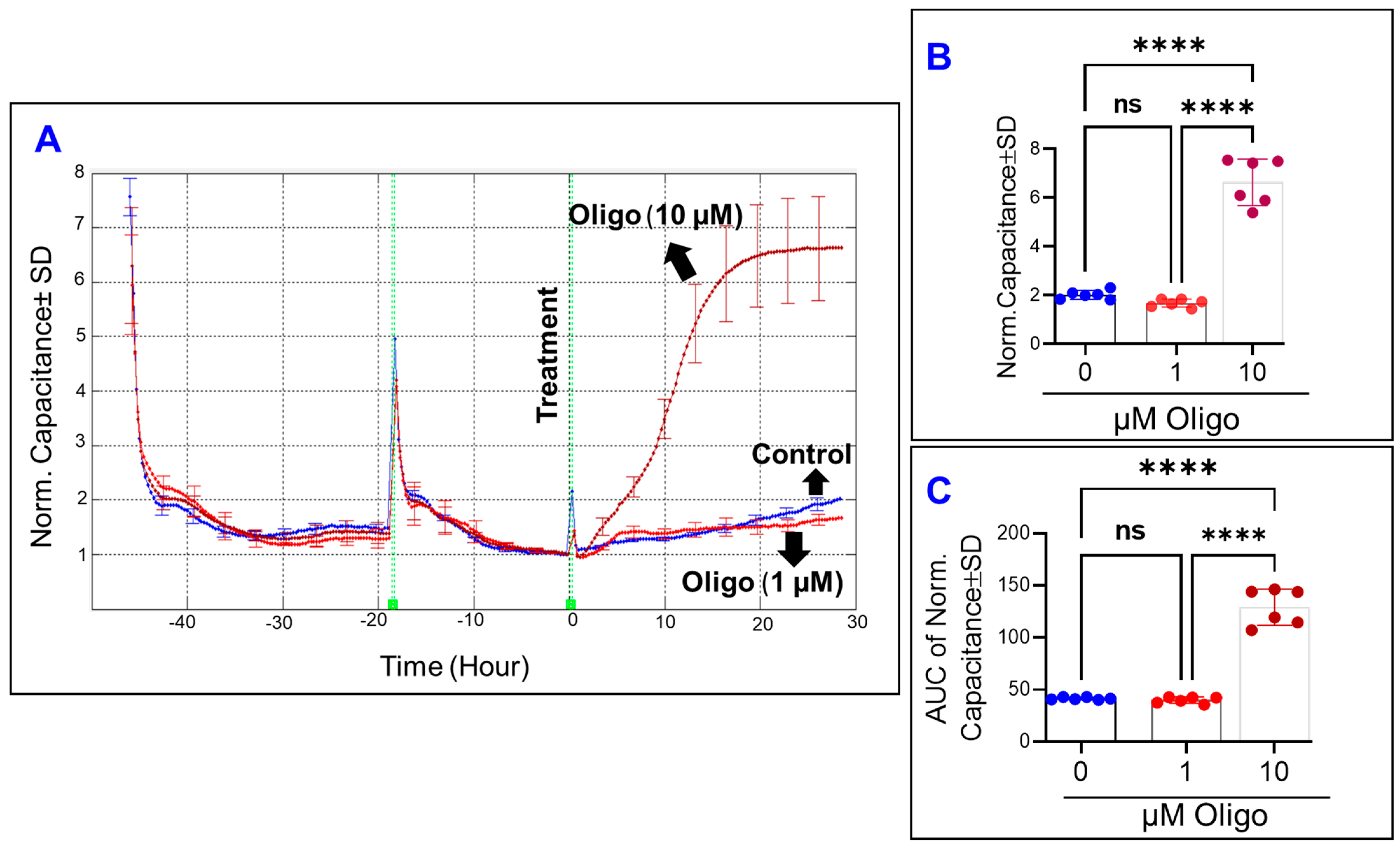 Cells 11 04128 g005 Cells 11 04128 g005