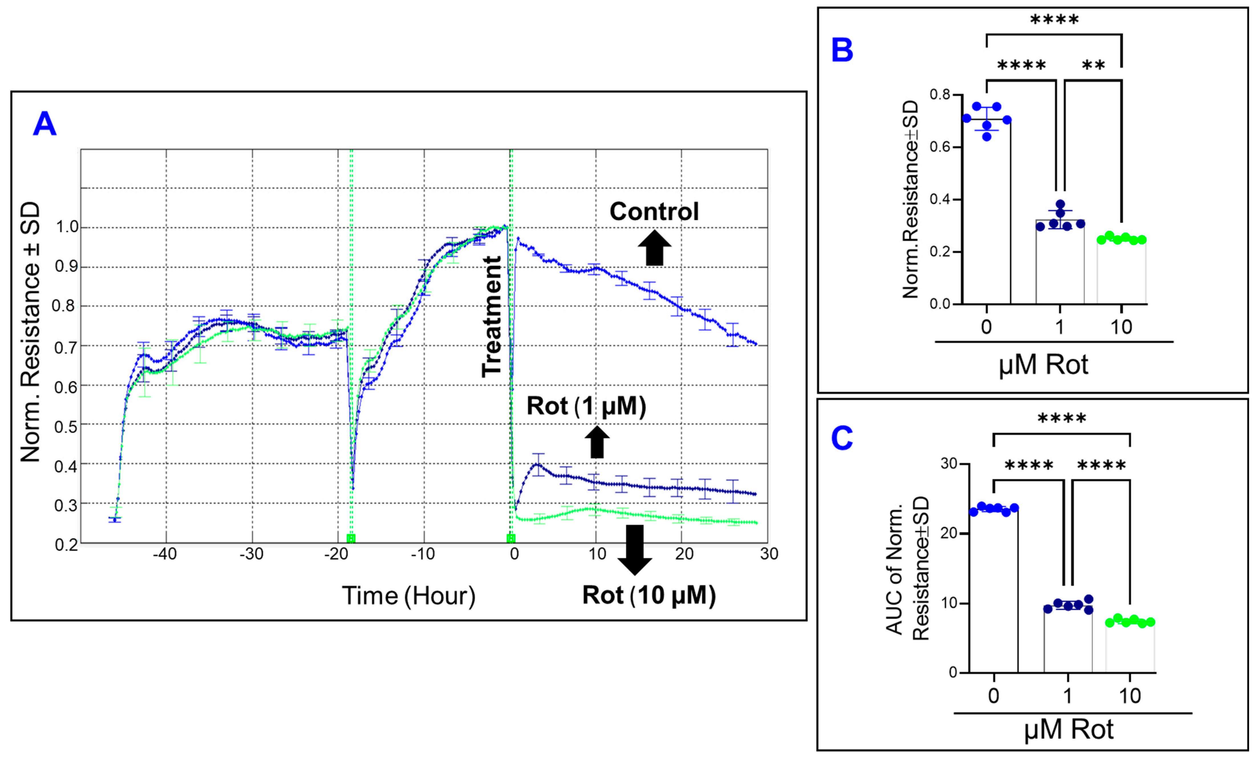 Cells 11 04128 g009 Cells 11 04128 g009