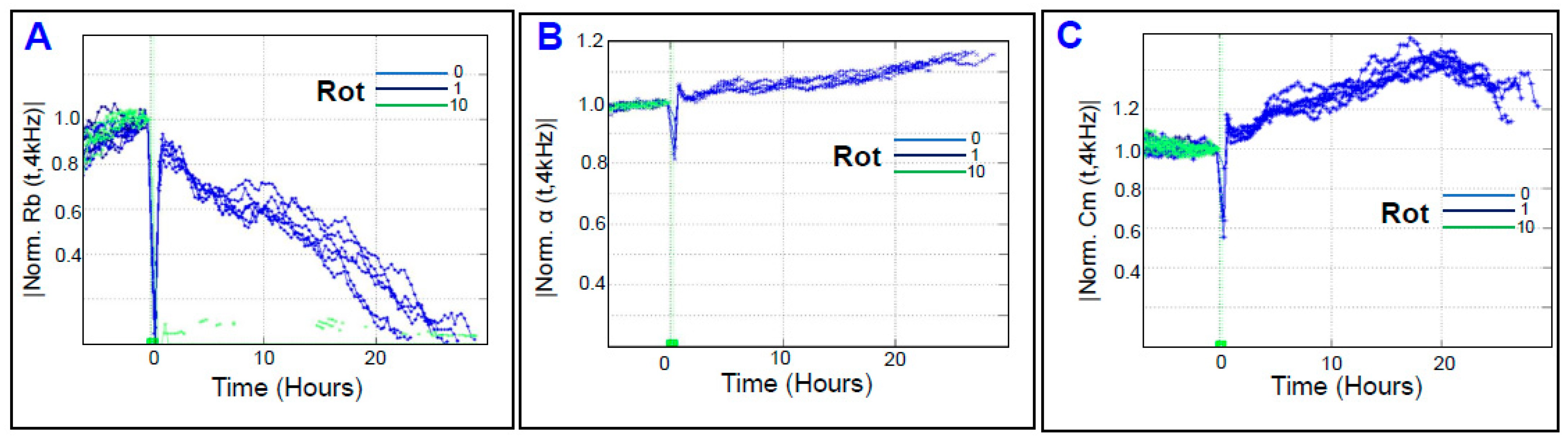Cells 11 04128 g010 Cells 11 04128 g010